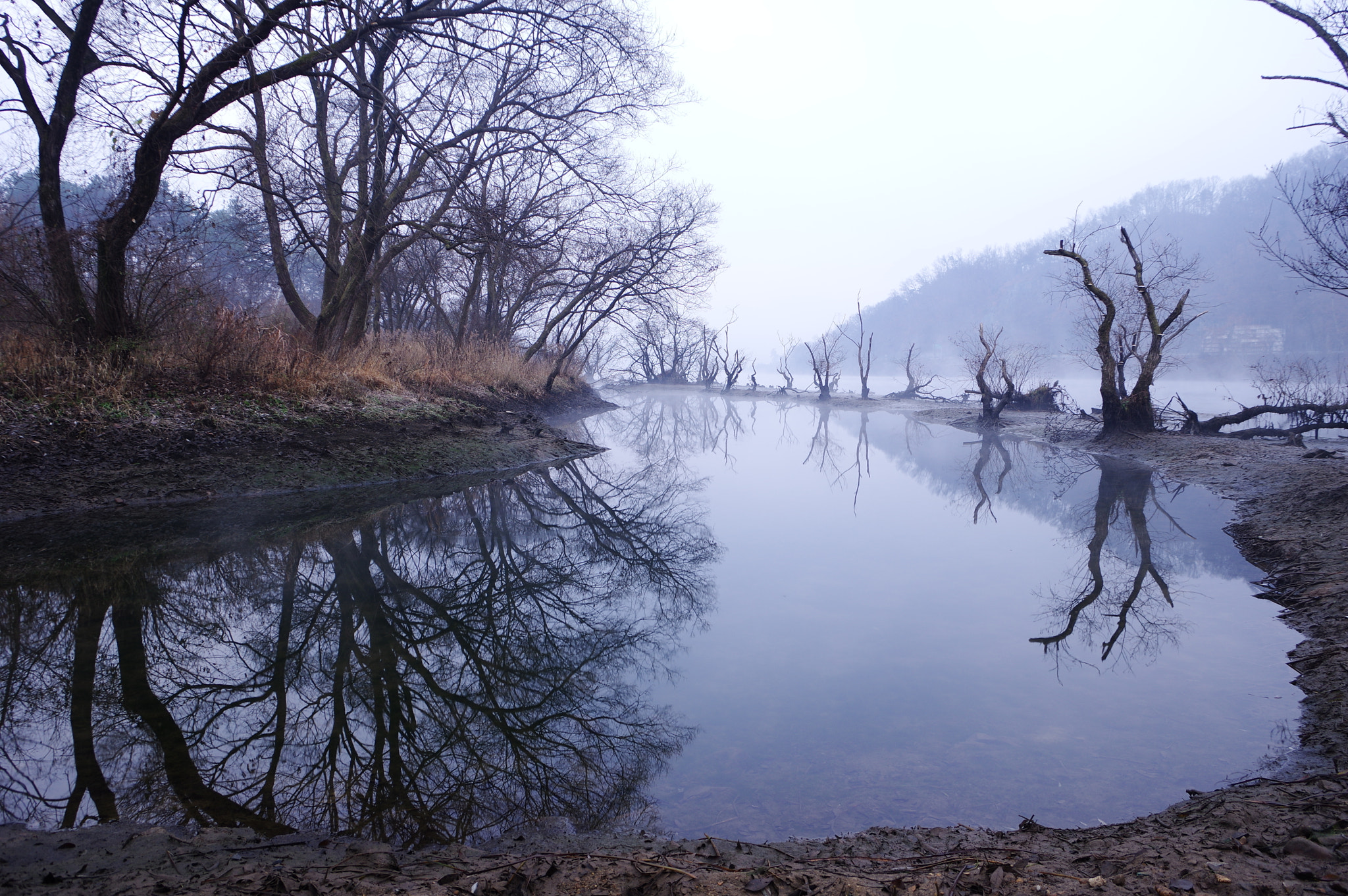 Pentax K-3 sample photo. Rain photography