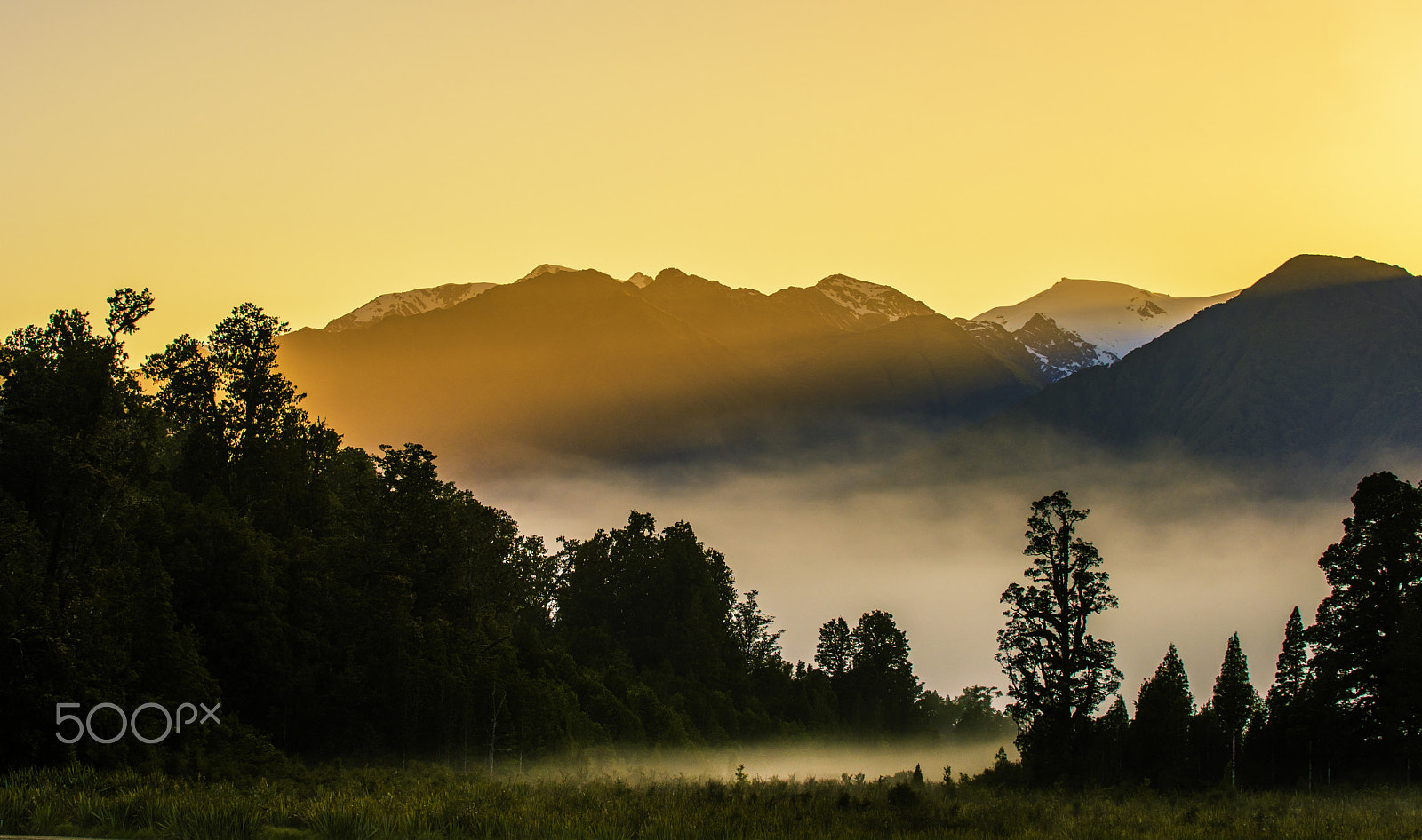Nikon D500 sample photo. Golden light in the morning photography