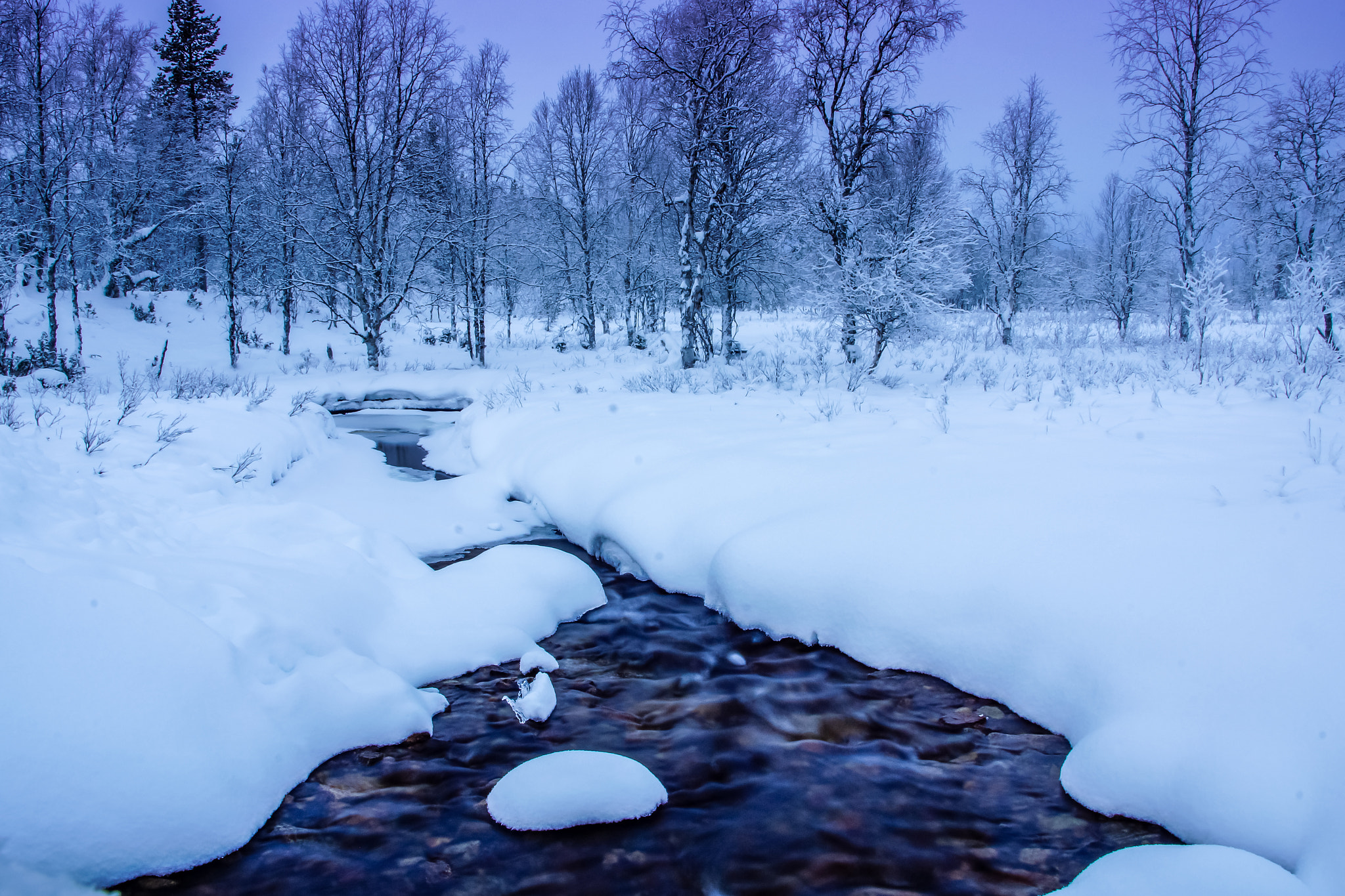 Sigma 17-70mm F2.8-4 DC Macro HSM sample photo. Winter wonderland photography