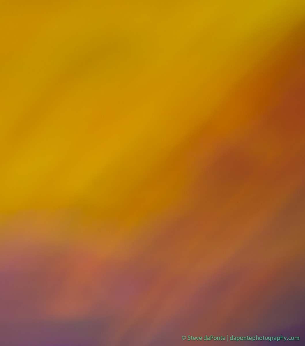 Sigma 35mm F1.4 DG HSM Art sample photo. Abstract shutter painting 2017-2 photography