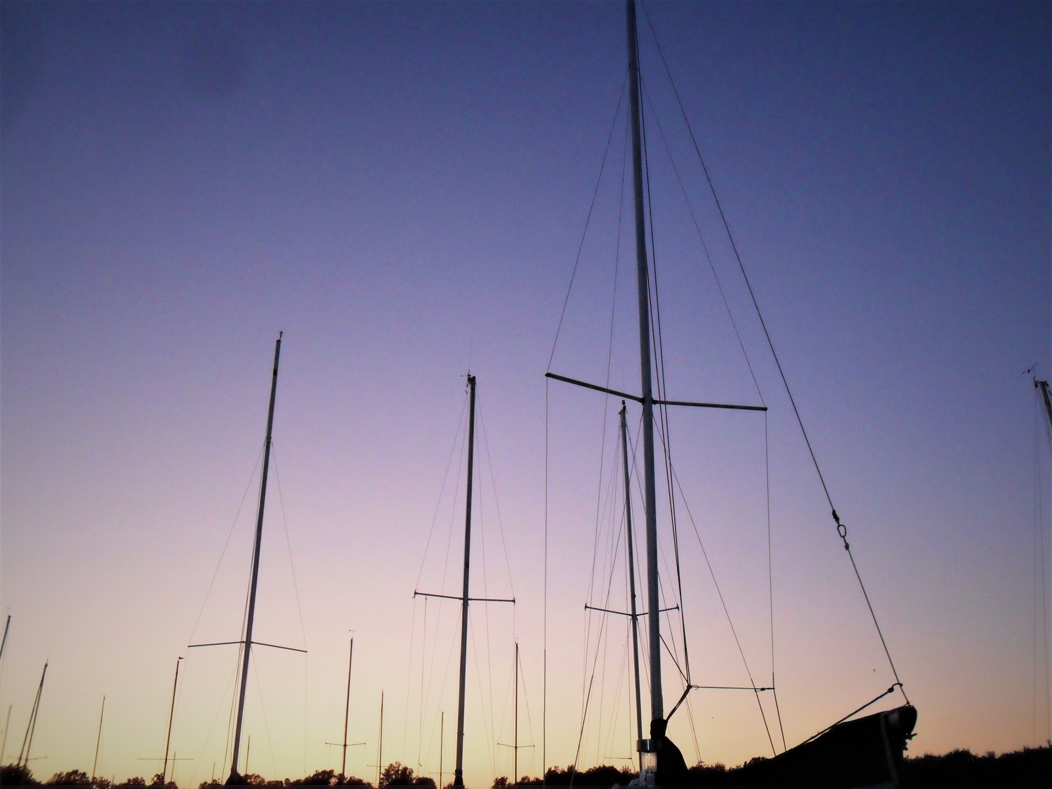 Samsung ES73 / VLUU ES73 /  SL605 sample photo. Night sail photography