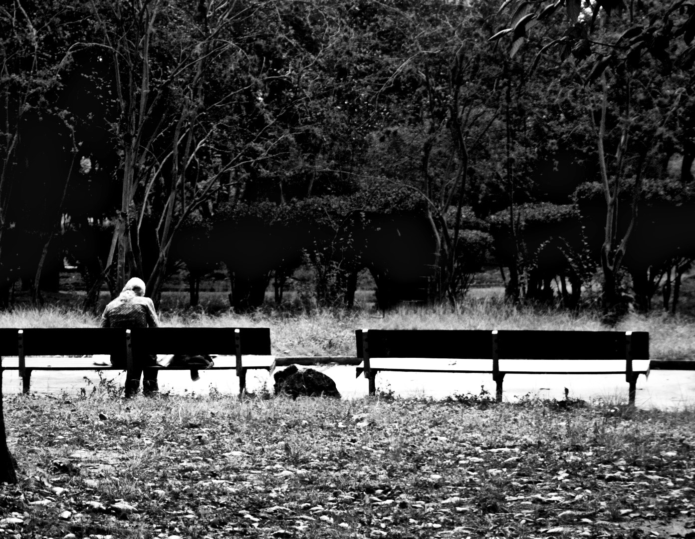 Canon EOS 450D (EOS Rebel XSi / EOS Kiss X2) sample photo. In the park photography