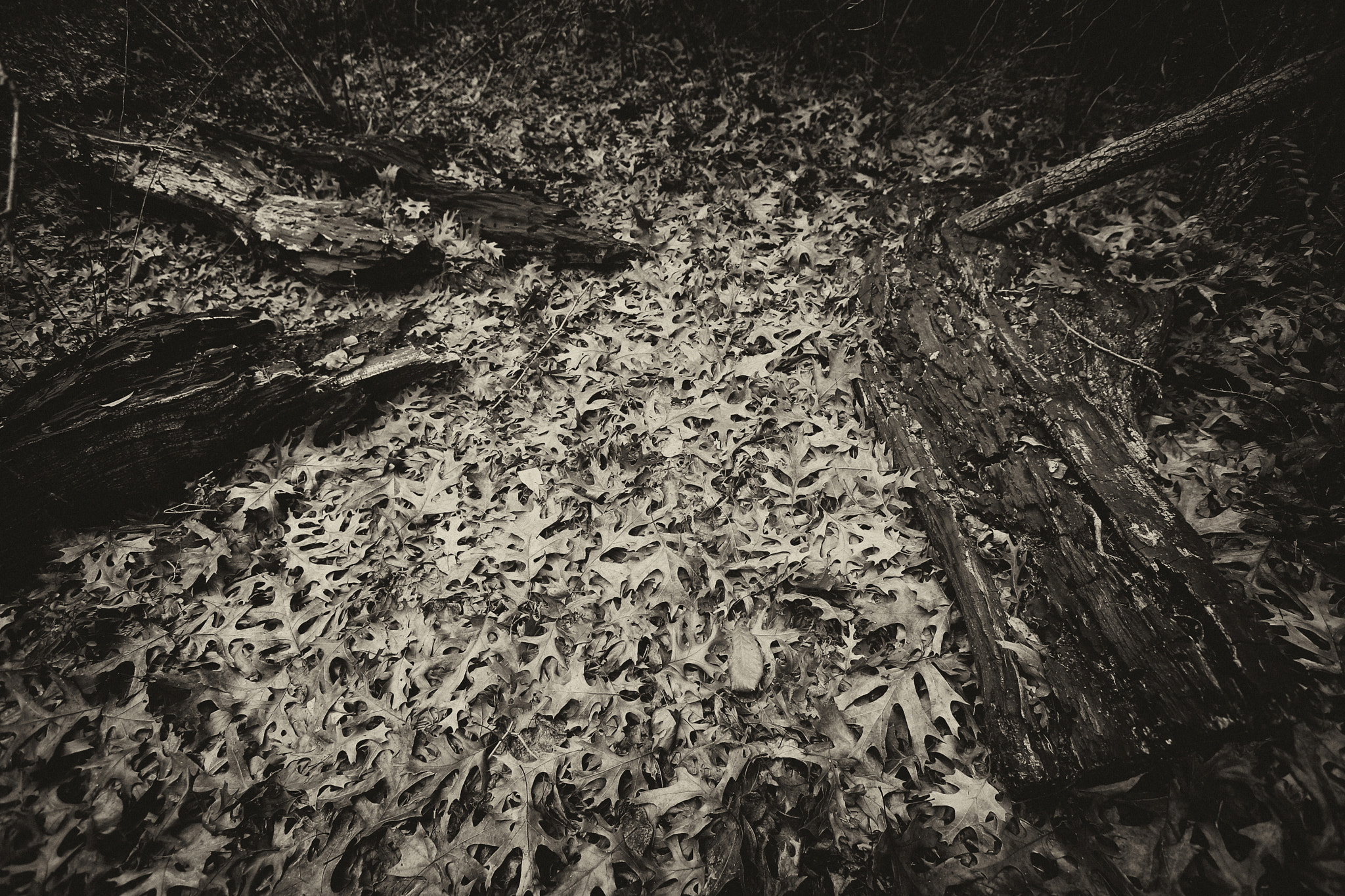 Canon EF 16-35mm F2.8L USM sample photo. Convergence of decay photography
