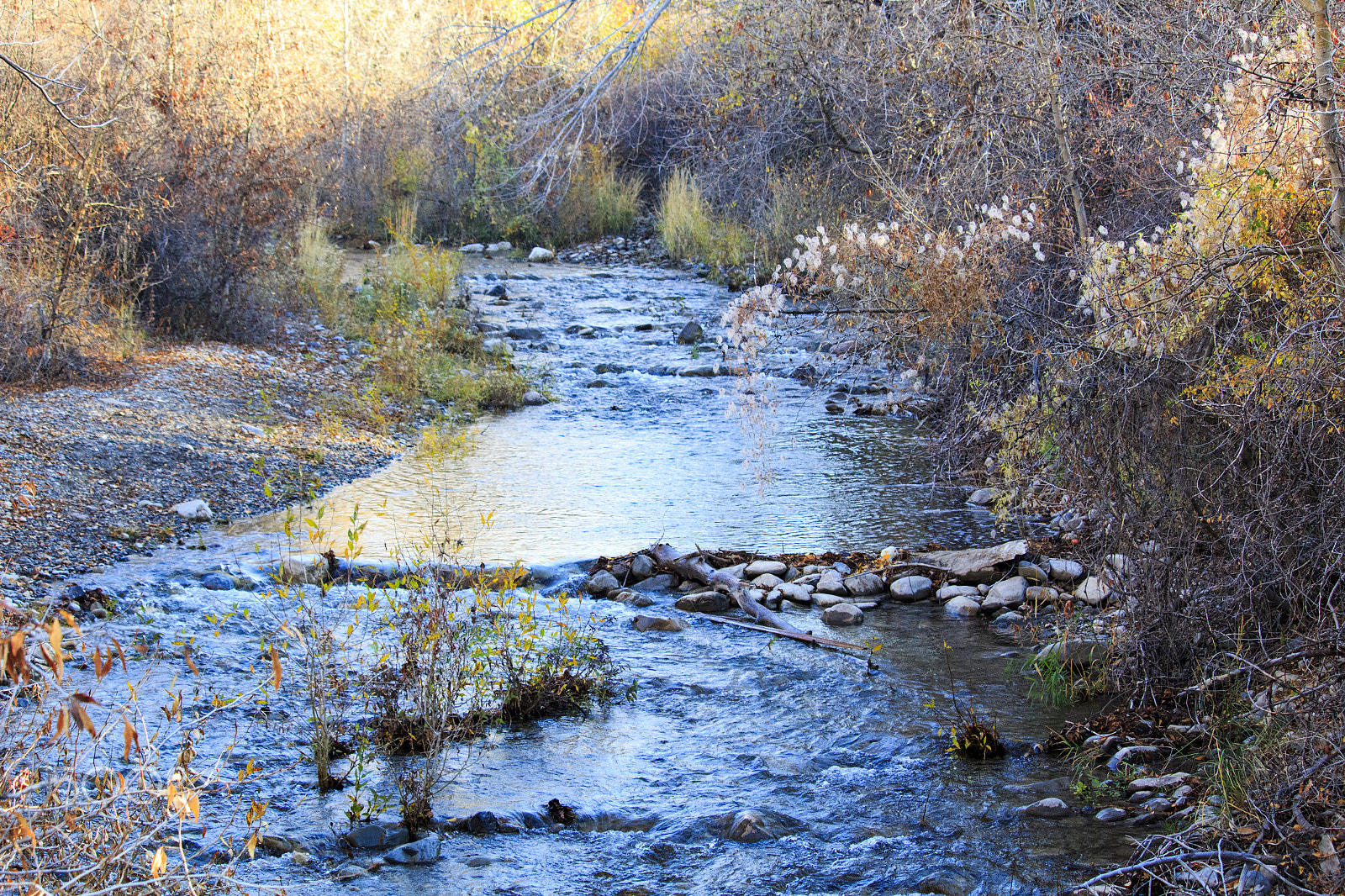 Canon EOS 100D (EOS Rebel SL1 / EOS Kiss X7) sample photo. Mountain stream photography
