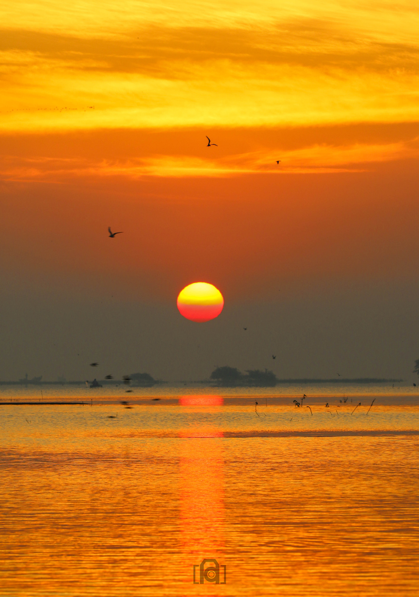 Canon EOS 70D + Canon EF 100-400mm F4.5-5.6L IS II USM sample photo. A colorful sunrise photography