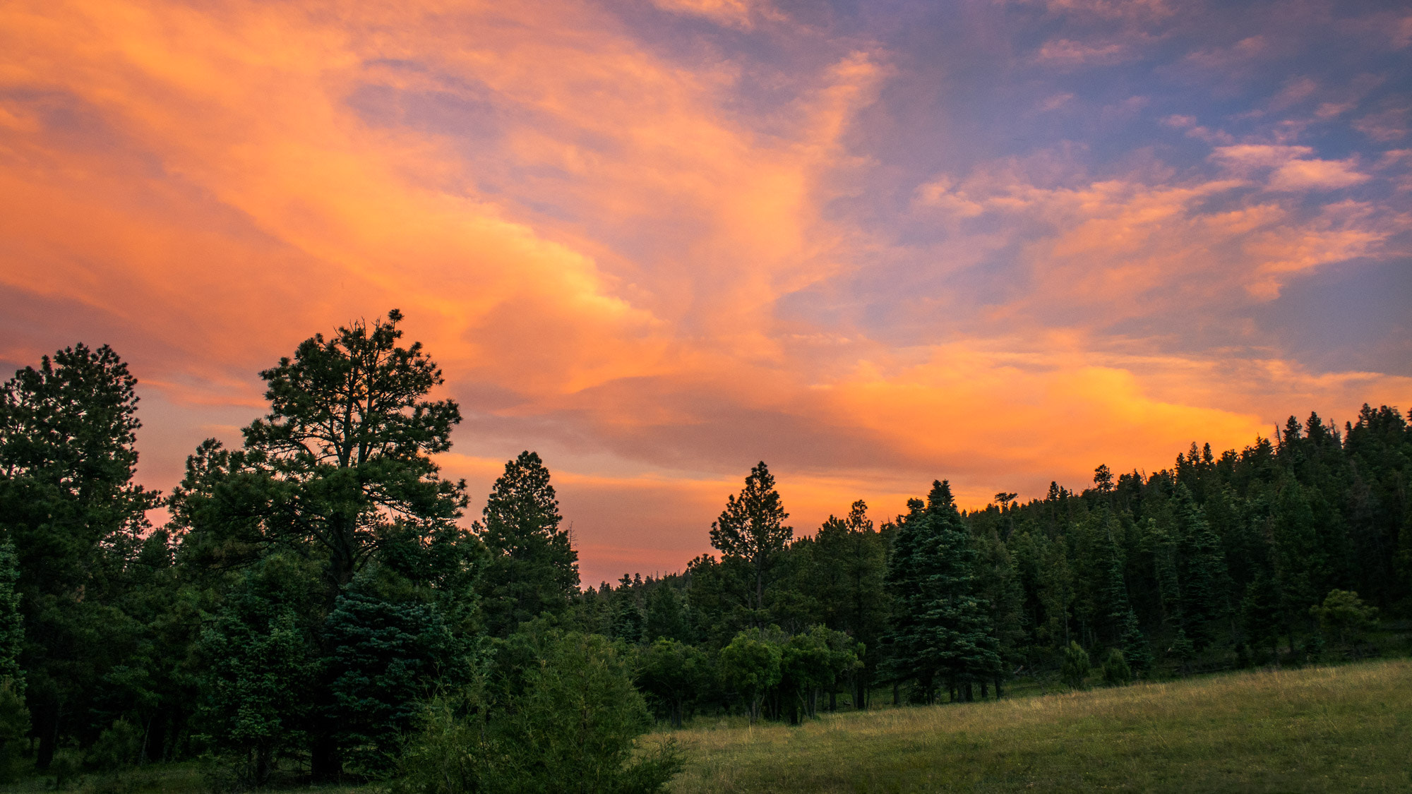 Nikon 1 J5 sample photo. Maxwell sunset photography