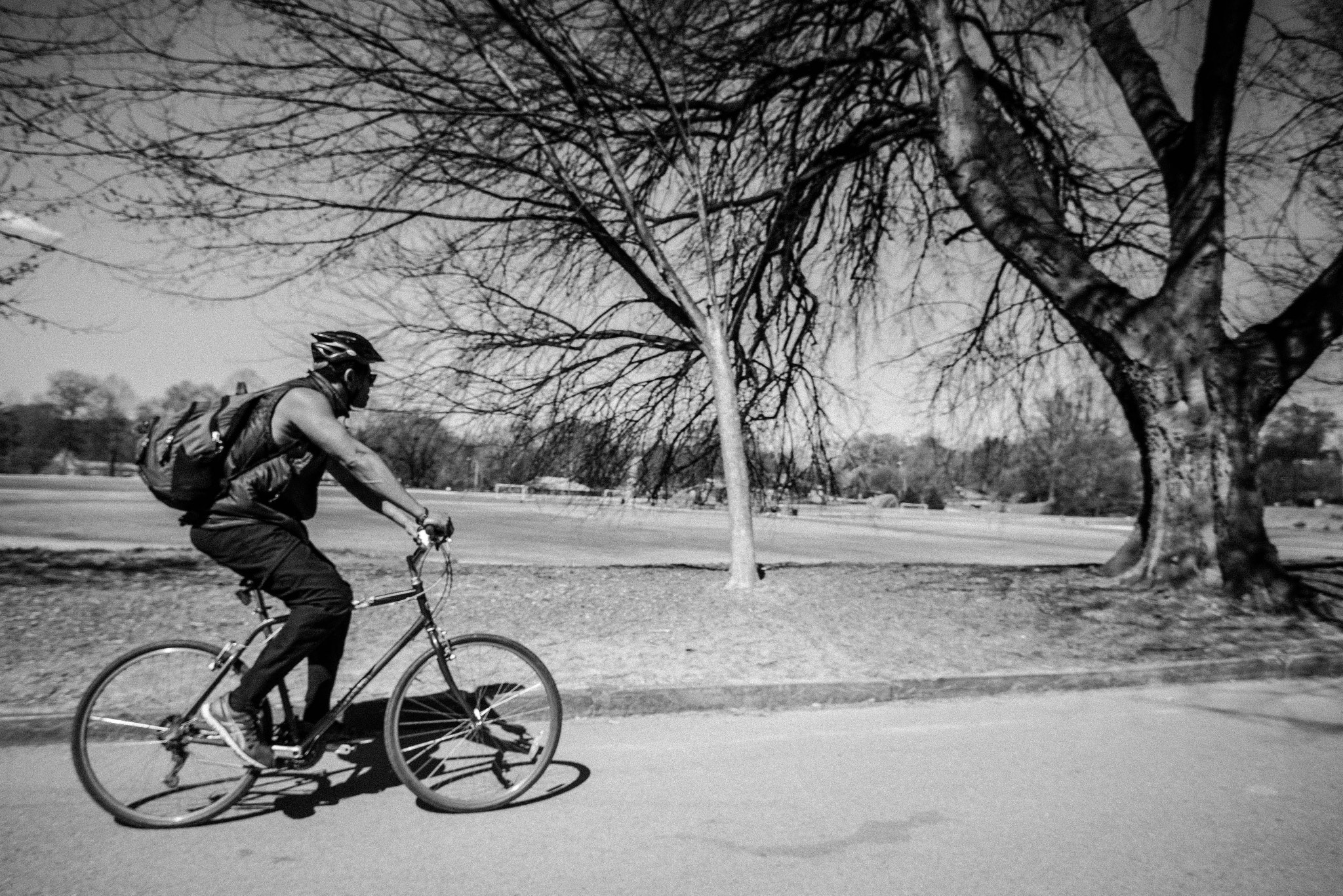 Nikon D810 sample photo. Piedmont park cruising  photography