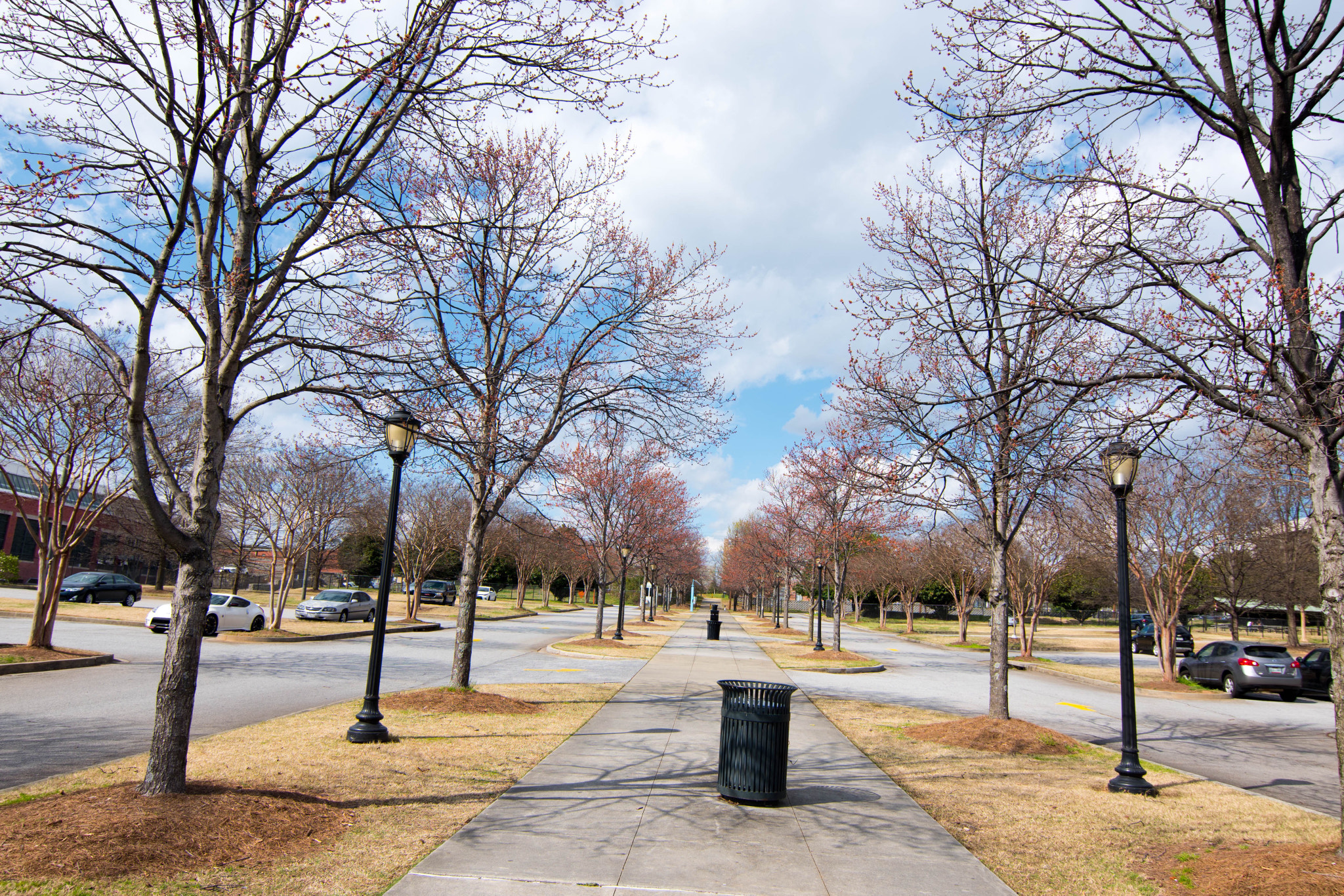 Nikon D810 sample photo. A walk in the park photography
