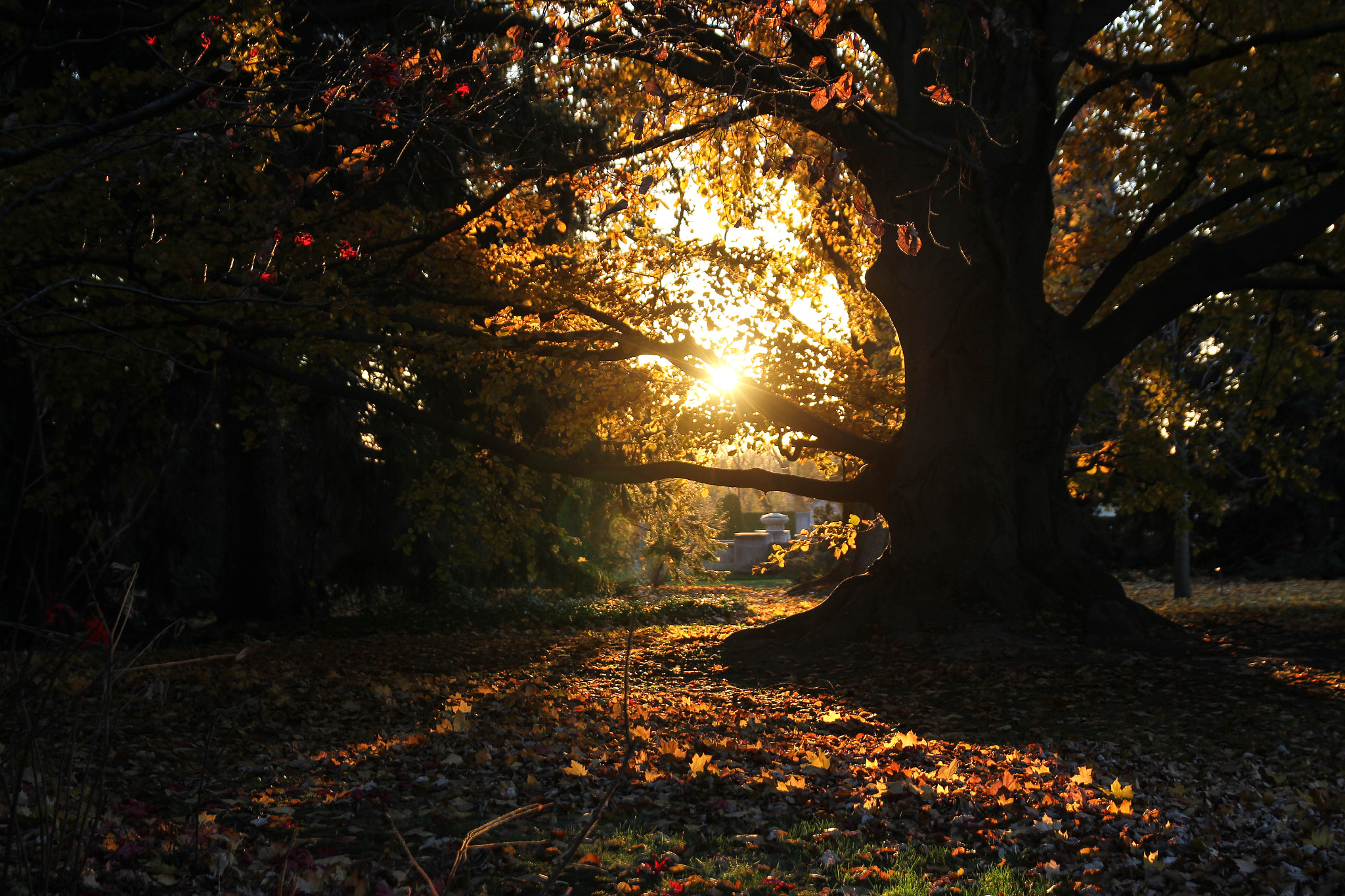 Canon EOS 60D + Sigma 18-50mm f/2.8 Macro sample photo. Img photography