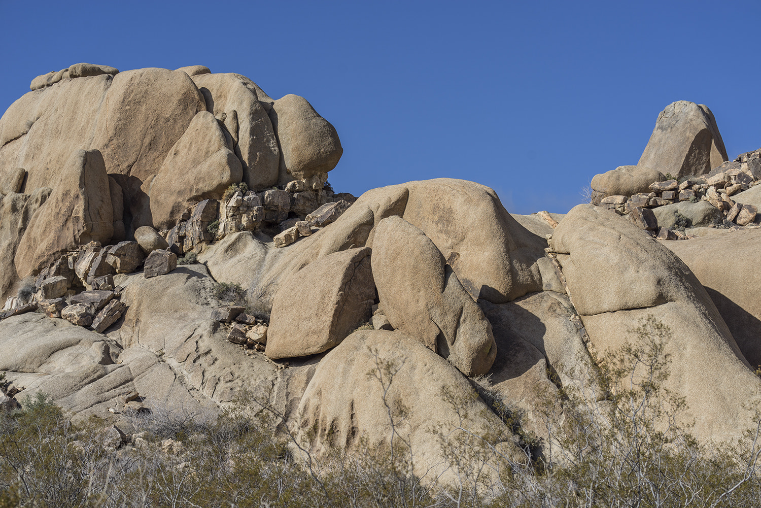 Sony a7R + Sony FE 70-300mm F4.5-5.6 G OSS sample photo. Joshua tree national park photography