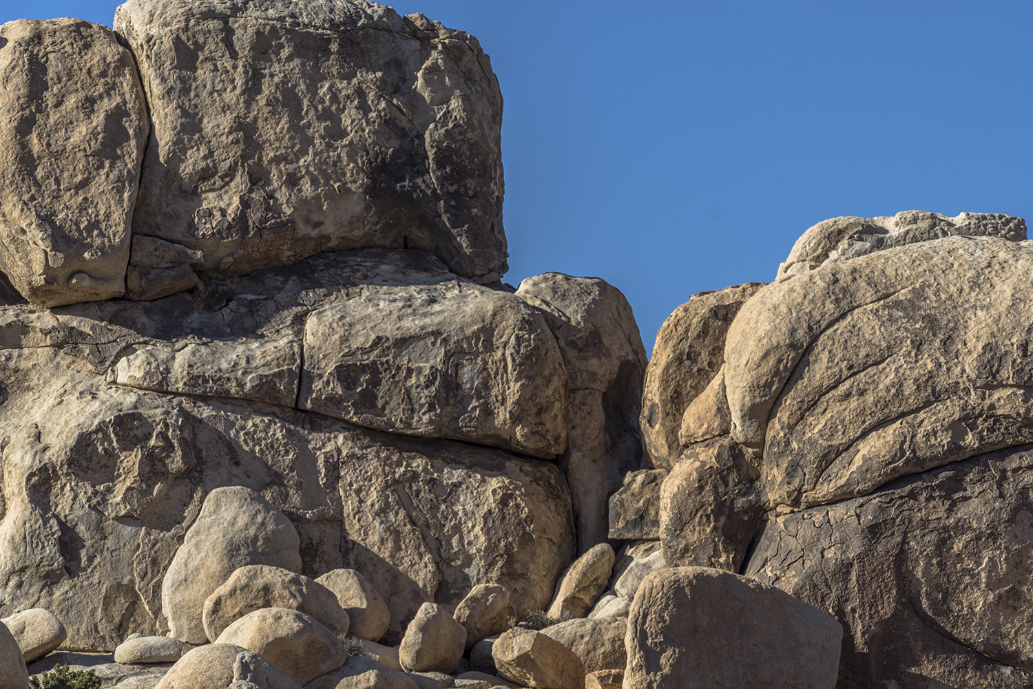 Sony a7R + Sony FE 70-300mm F4.5-5.6 G OSS sample photo. Joshua tree national park photography