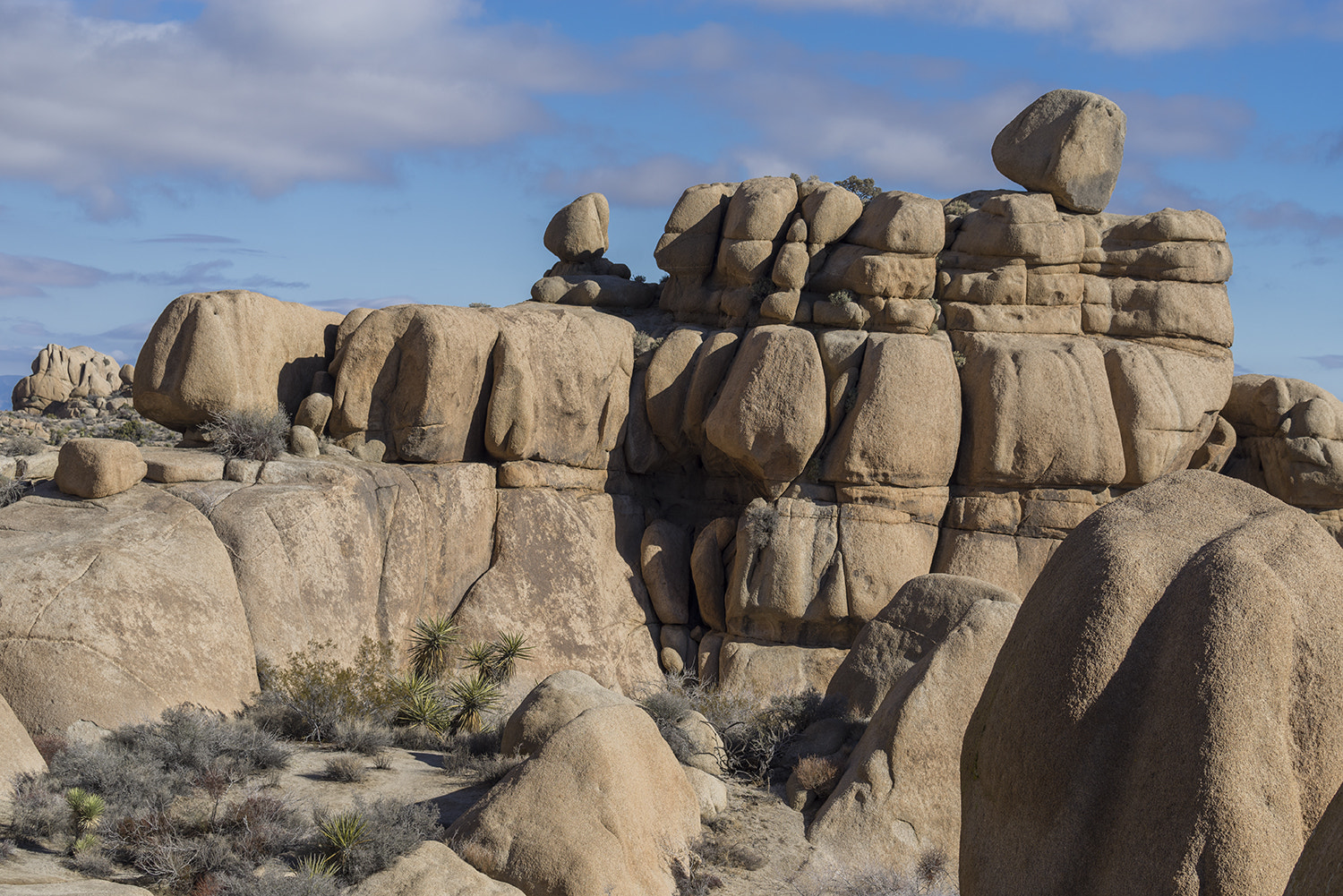 Sony a7R + Sony FE 70-300mm F4.5-5.6 G OSS sample photo. Joshua tree national park photography