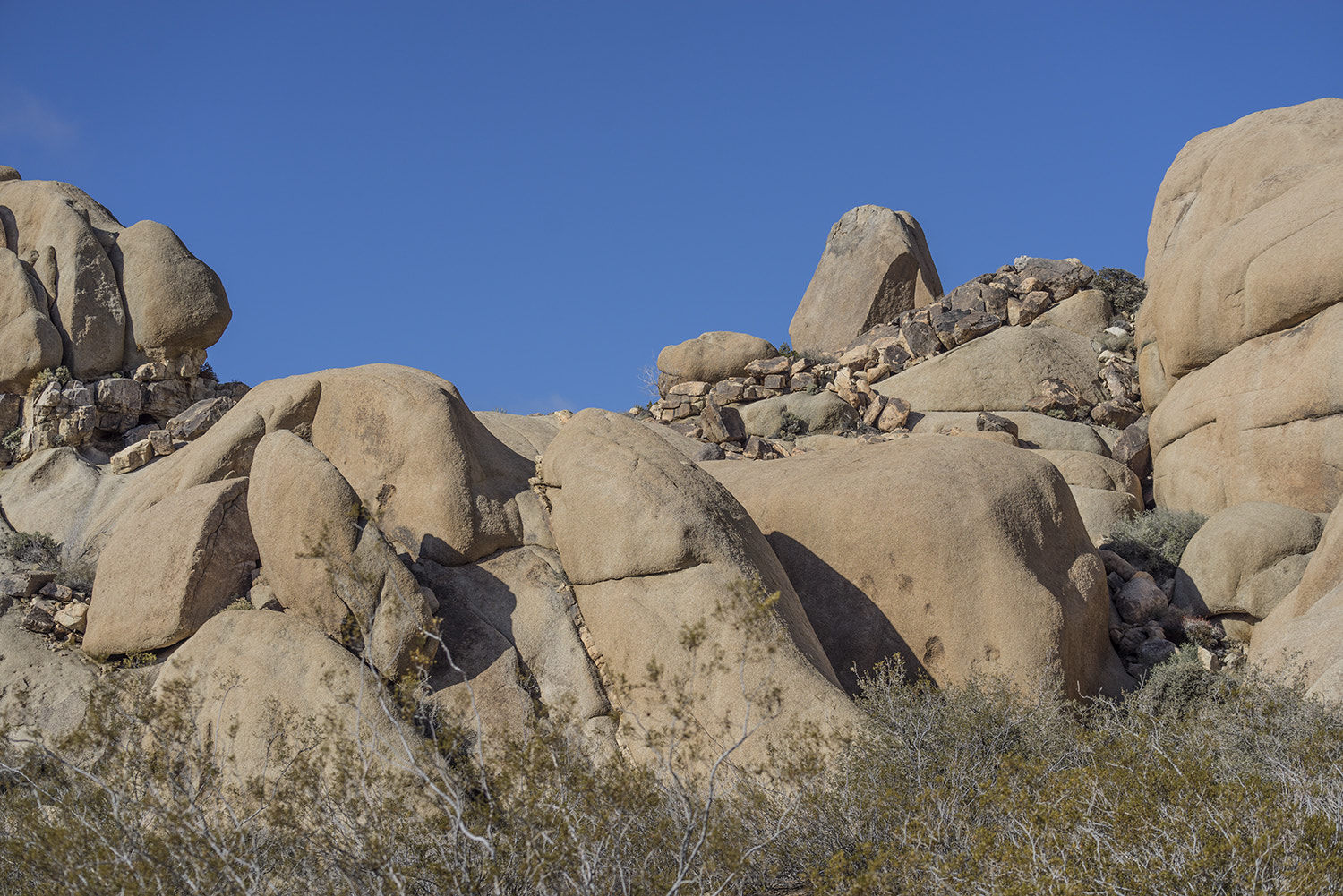 Sony a7R + Sony FE 70-300mm F4.5-5.6 G OSS sample photo. Joshua tree national park photography