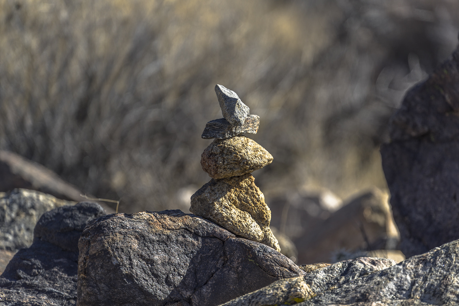 Sony a7R + Sony FE 70-300mm F4.5-5.6 G OSS sample photo. Joshua tree national park photography