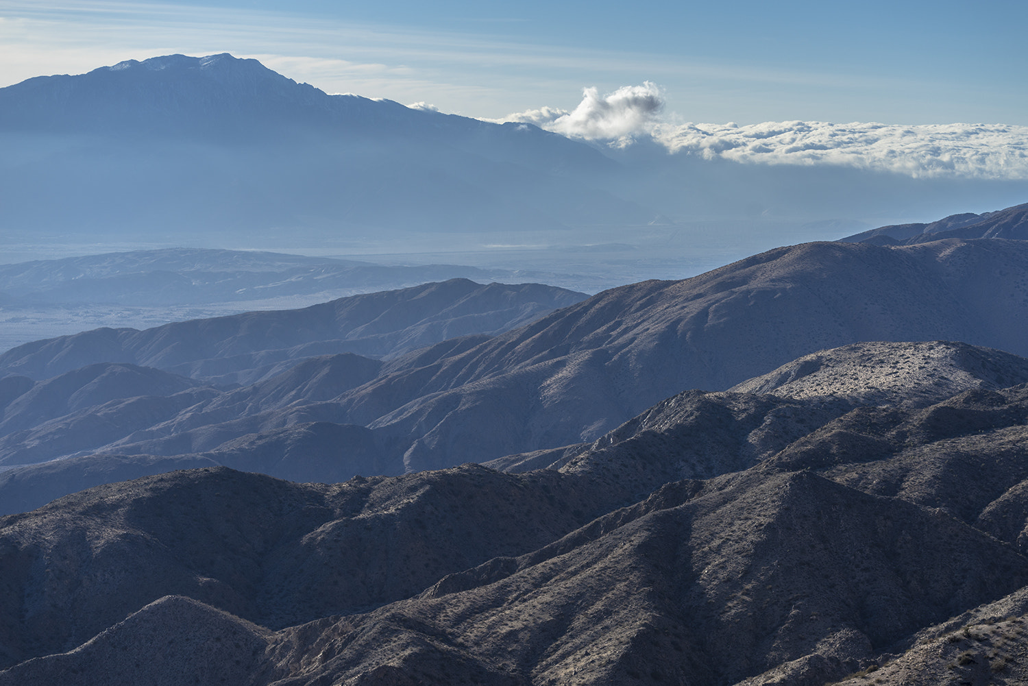 Sony a7R + Sony FE 70-300mm F4.5-5.6 G OSS sample photo. Joshua tree national park photography