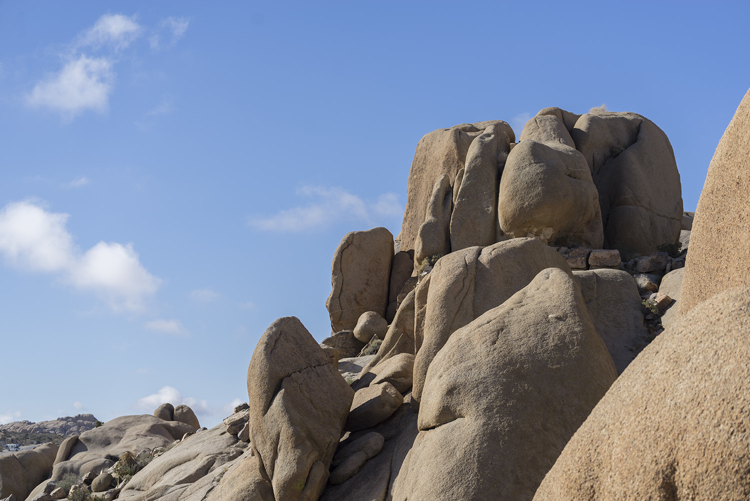 Sony a7R + Sony FE 70-300mm F4.5-5.6 G OSS sample photo. Joshua tree national park photography