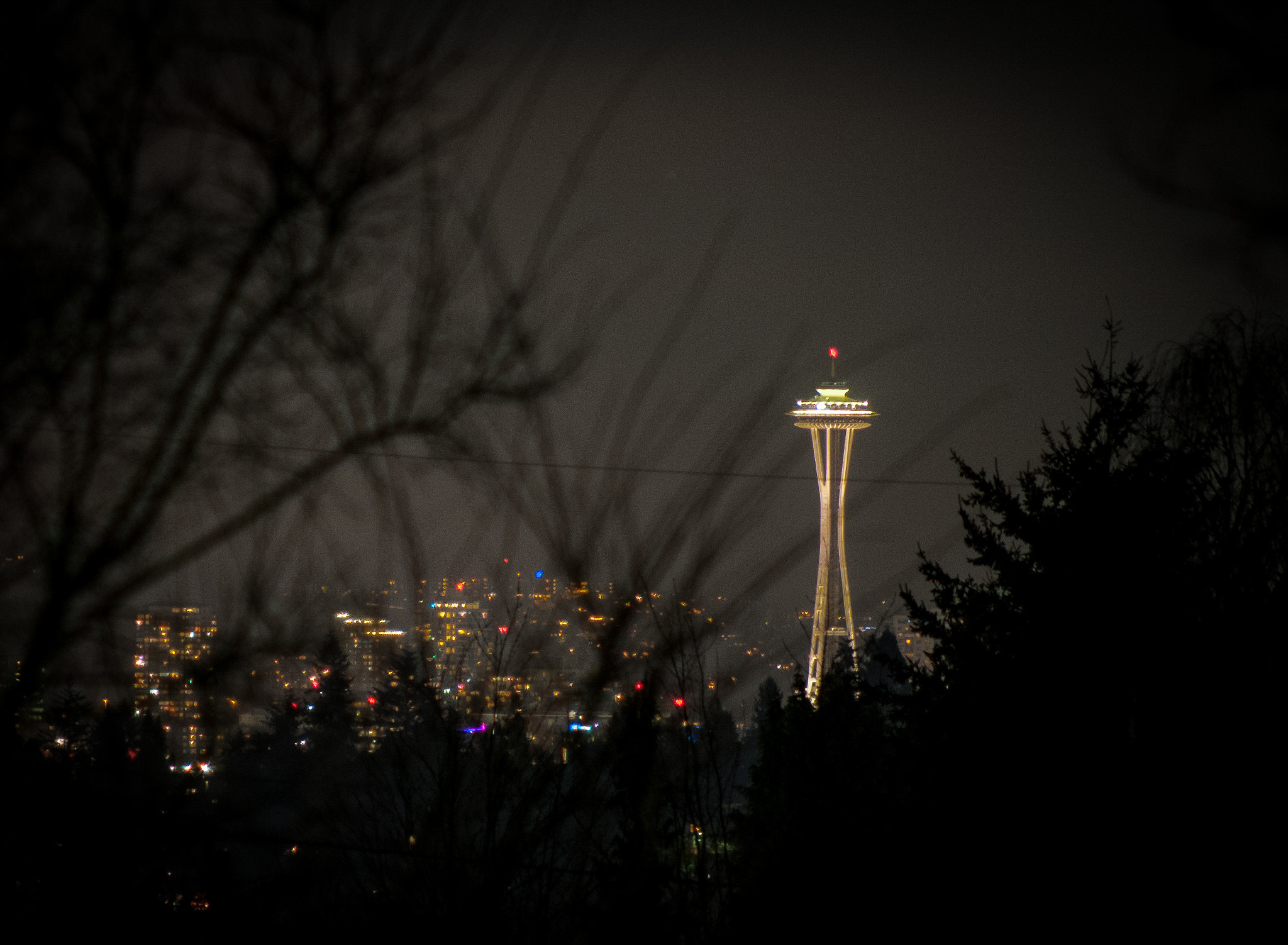 Nikon D300 + AF Nikkor 70-210mm f/4-5.6D sample photo. Space needle photography