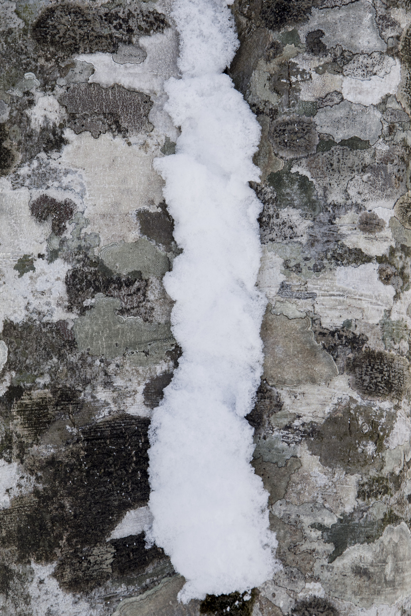 Pentax K-1 sample photo. Snow mountain photography