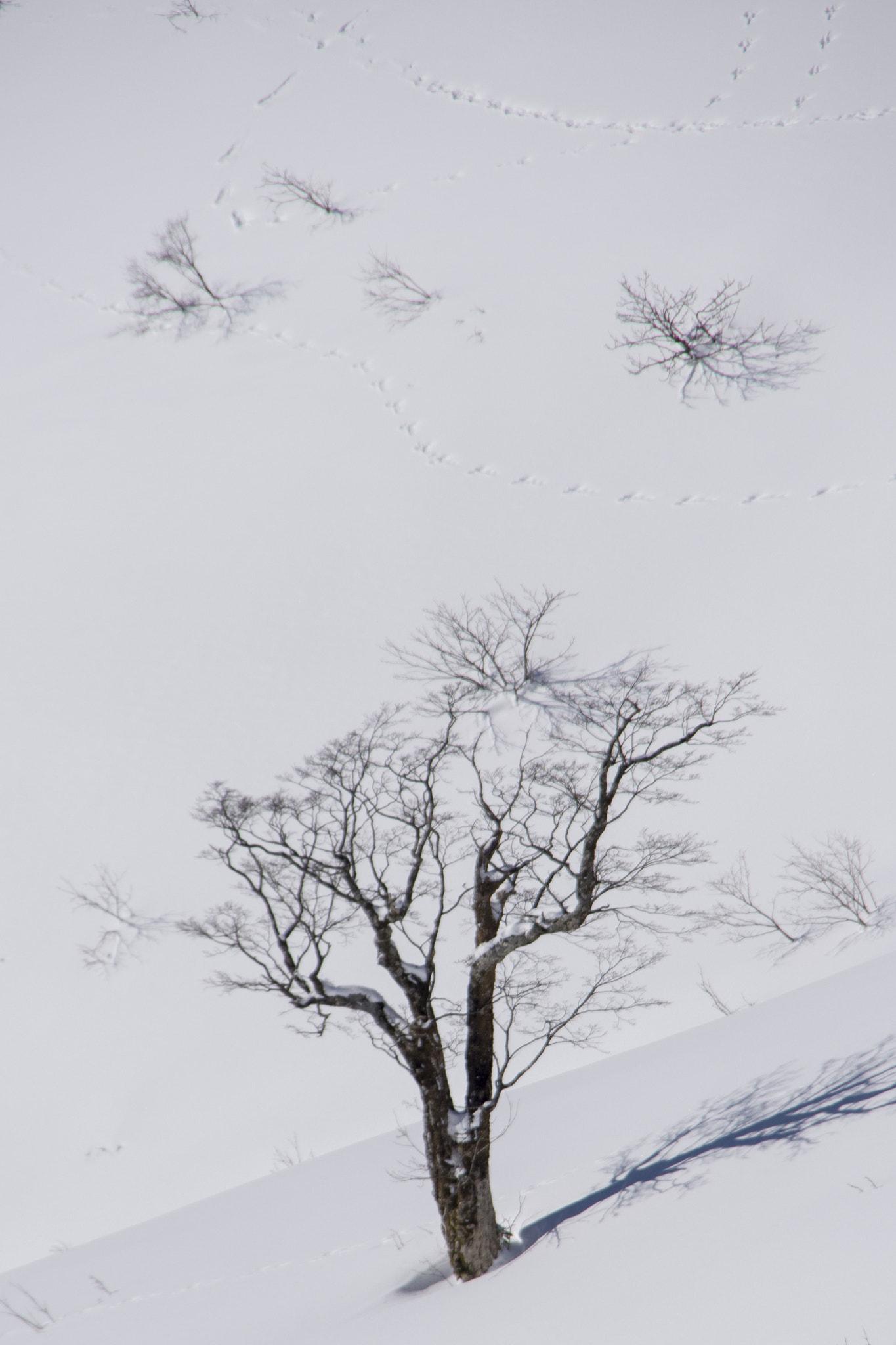 Pentax K-1 sample photo. Snow mountain photography