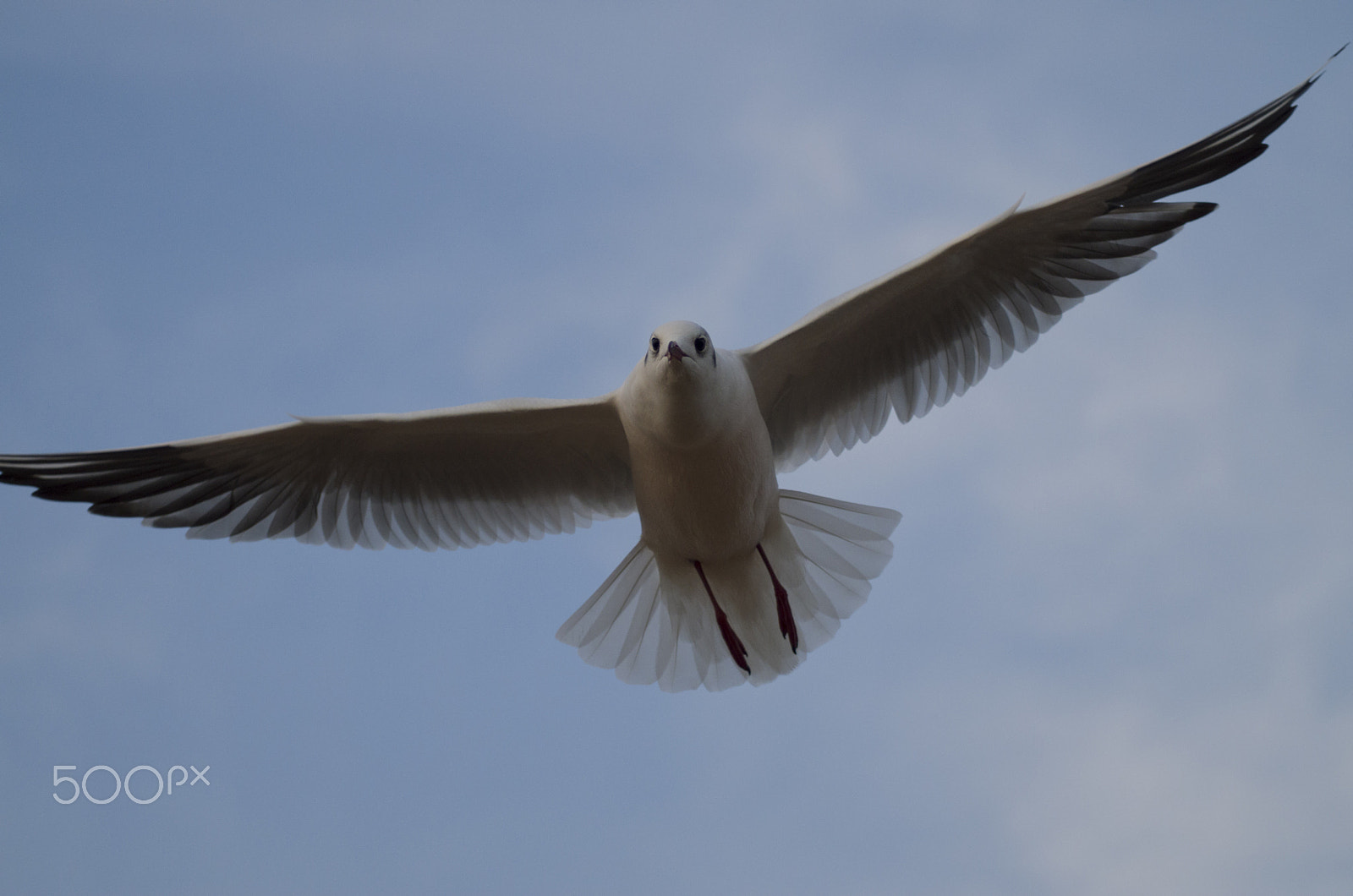 Tamron AF 70-300mm F4-5.6 LD Macro 1:2 sample photo. Sky photography