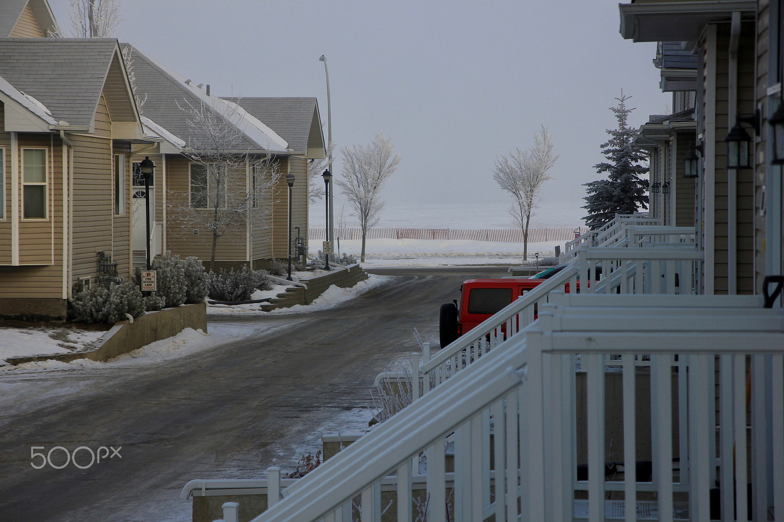 Canon EOS 550D (EOS Rebel T2i / EOS Kiss X4) sample photo. Fog in street photography