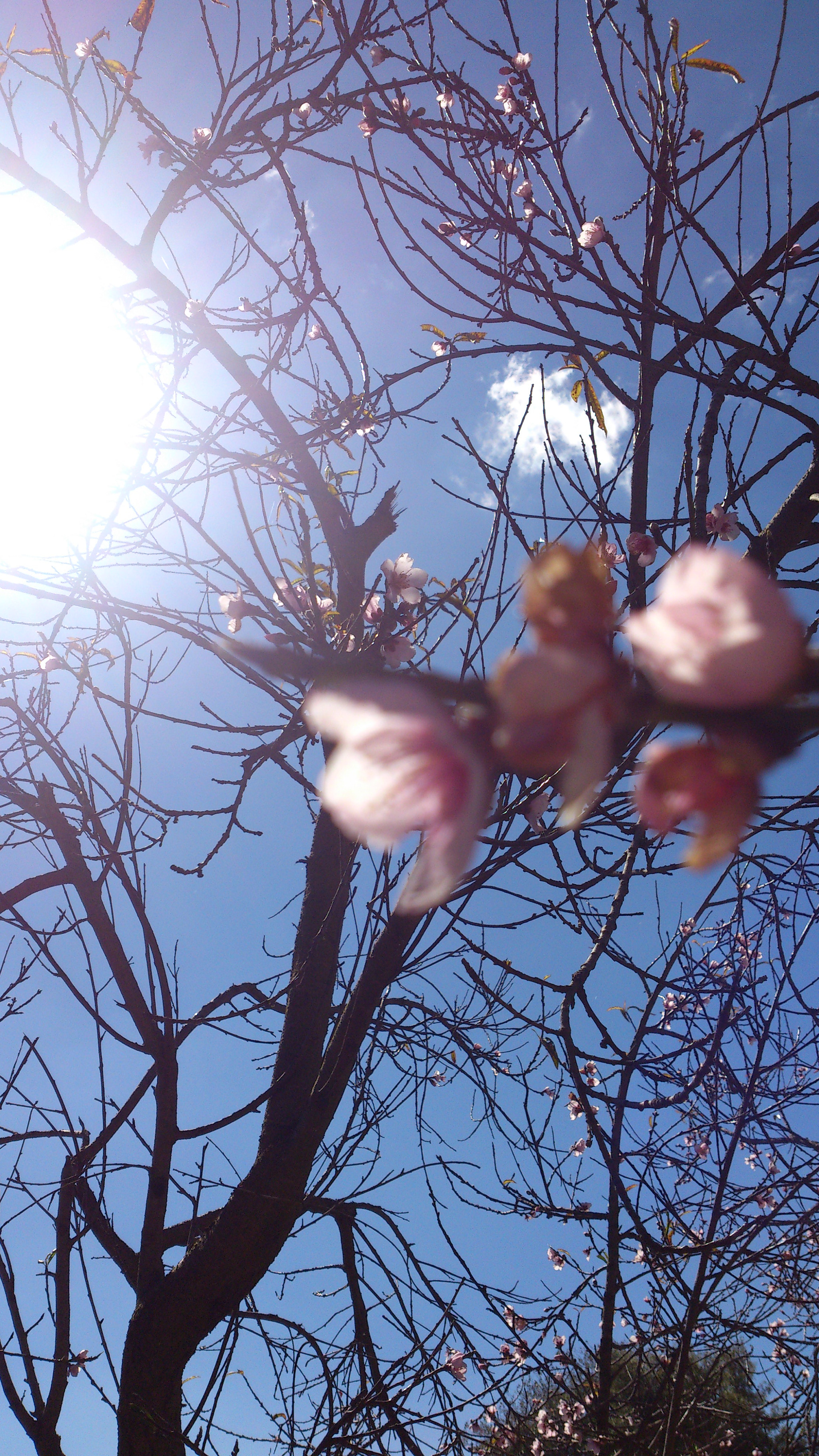 Sony Ericsson Xperia S sample photo. Ciel  photography