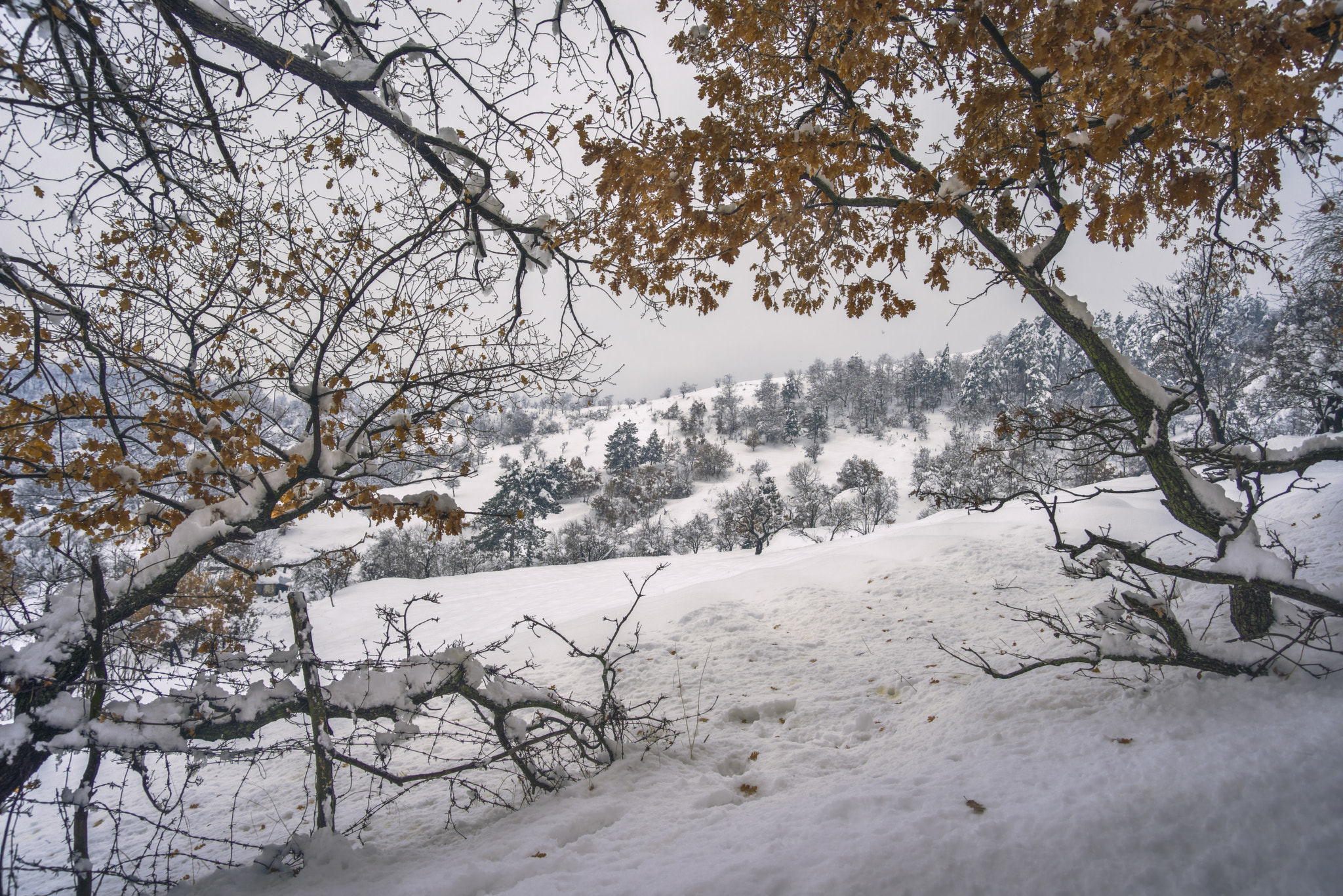 smc PENTAX-F 35-70mm F3.5-4.5 sample photo. Winter photography