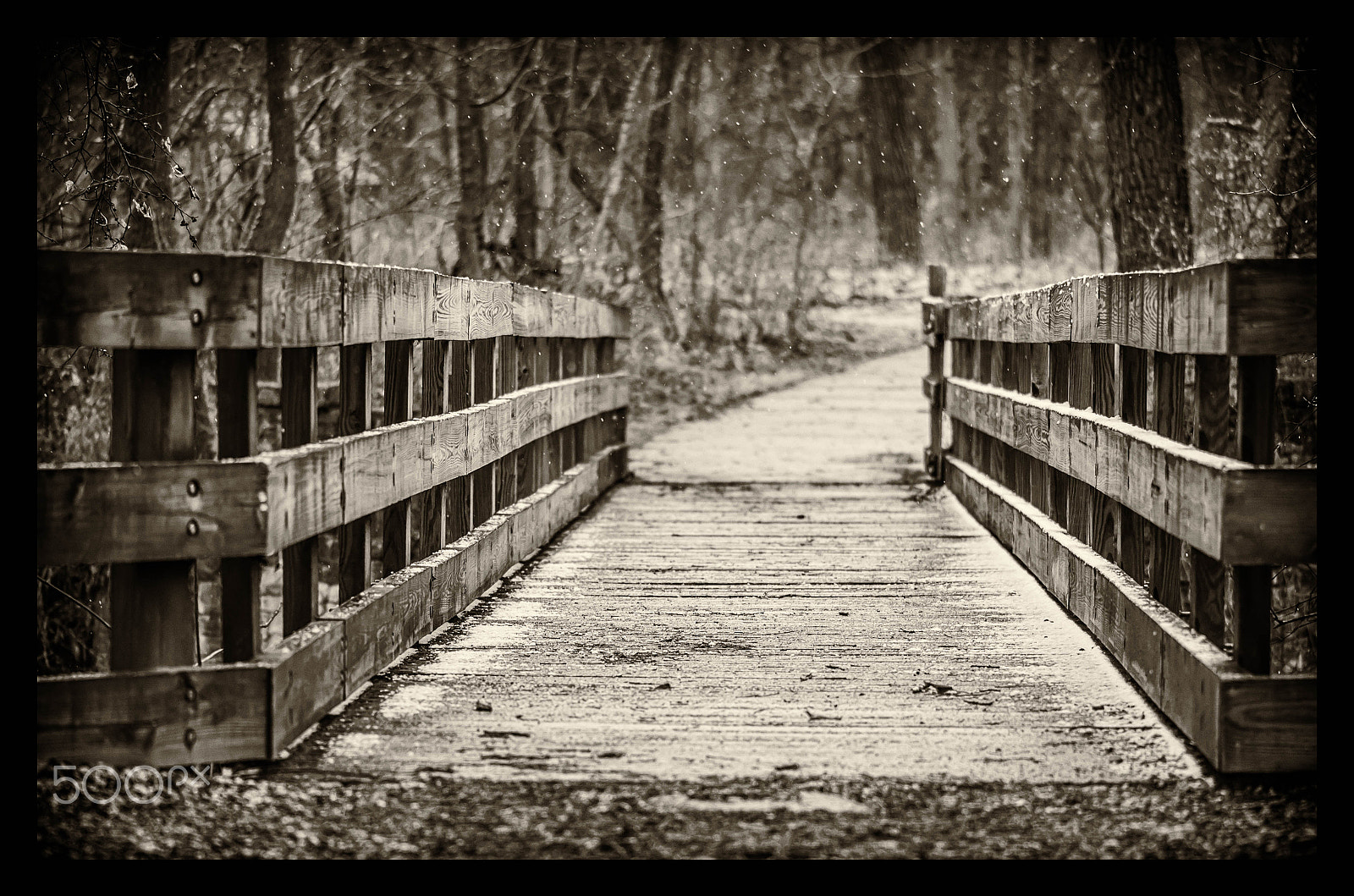 Nikon AF-S Micro-Nikkor 105mm F2.8G IF-ED VR sample photo. Inviting bridge photography