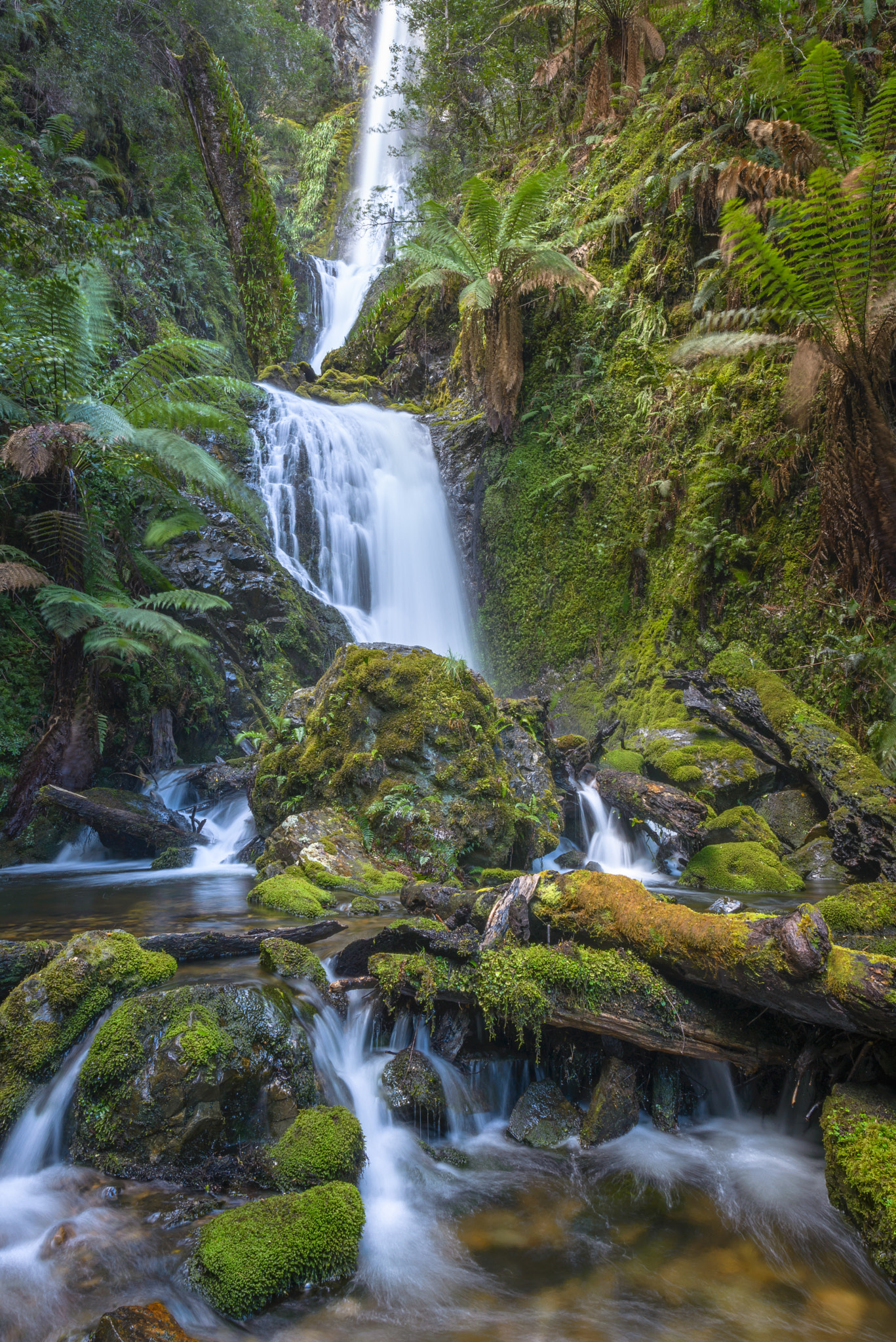 Nikon AF-S Nikkor 14-24mm F2.8G ED sample photo. Quaile photography