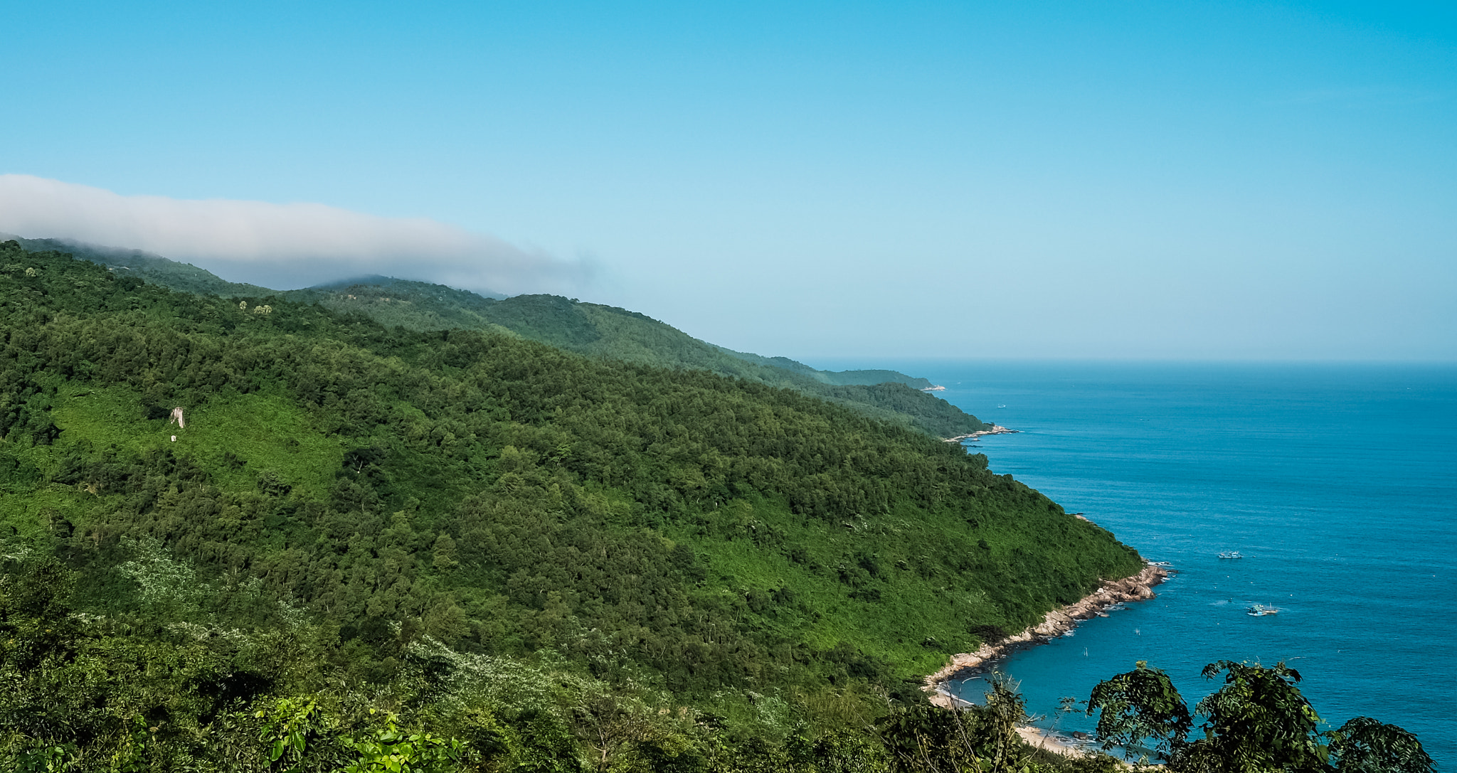 Fujifilm X-T10 + Fujifilm XF 23mm F2 R WR sample photo. Green & blue nature photography