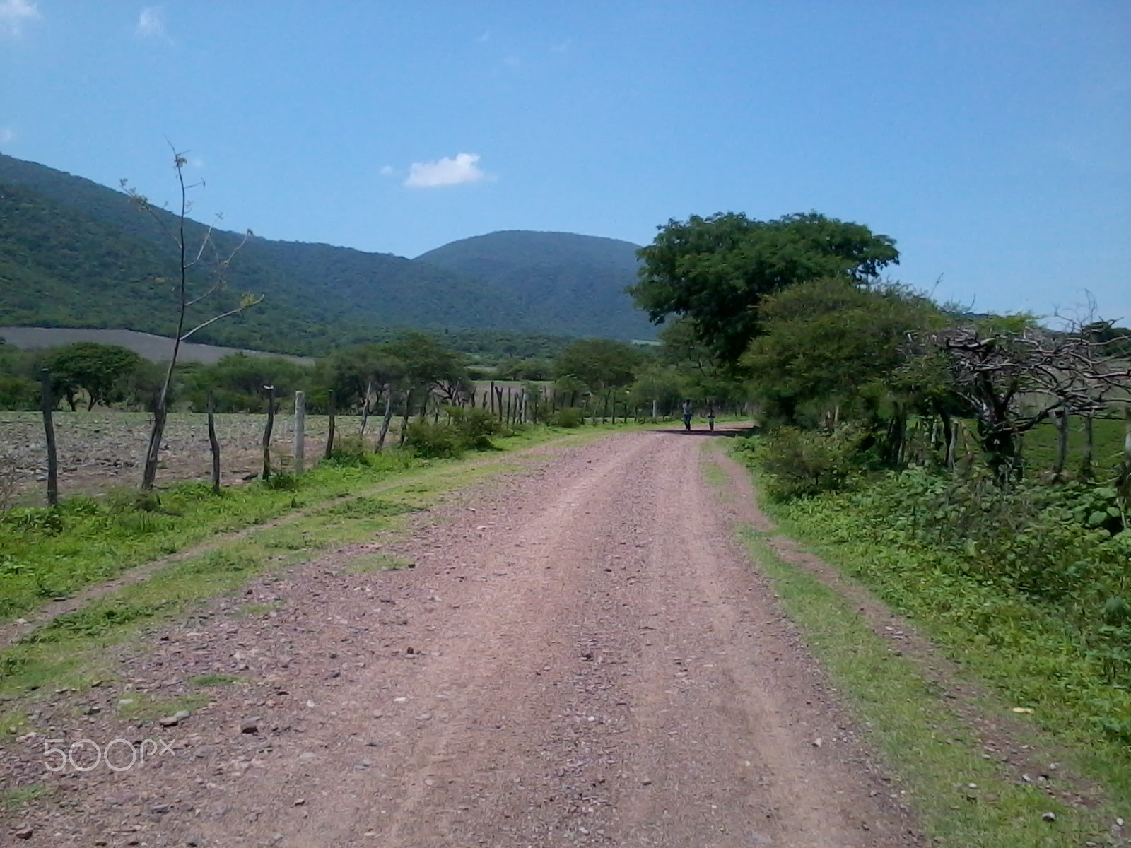 Samsung Galaxy Y sample photo. Town tepexco puebla, dirt road vegetation photography