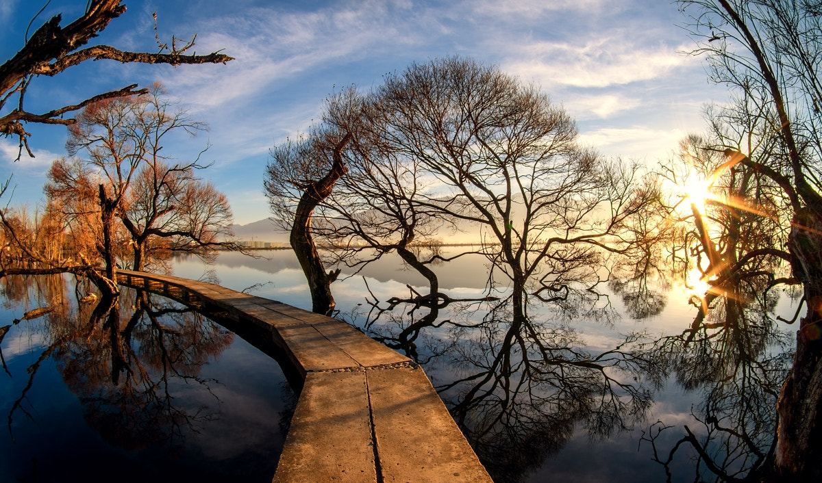 Tokina AT-X 10-17mm F3.5-4.5 DX Fisheye sample photo. Blp photography