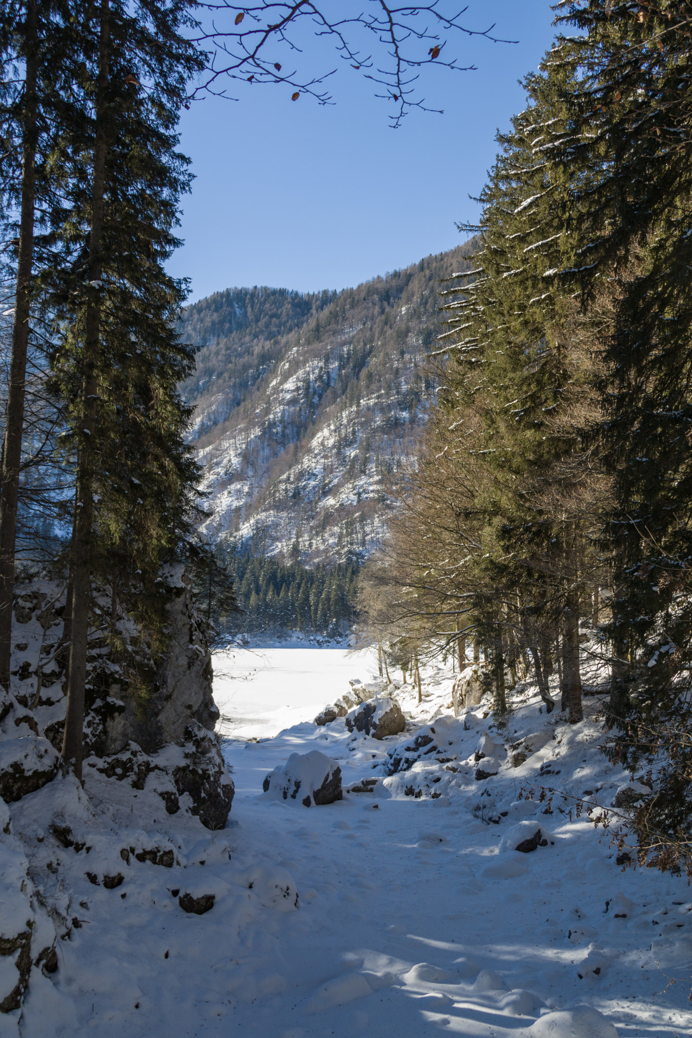 Canon EOS 760D (EOS Rebel T6s / EOS 8000D) sample photo. Snow on lake fusine photography