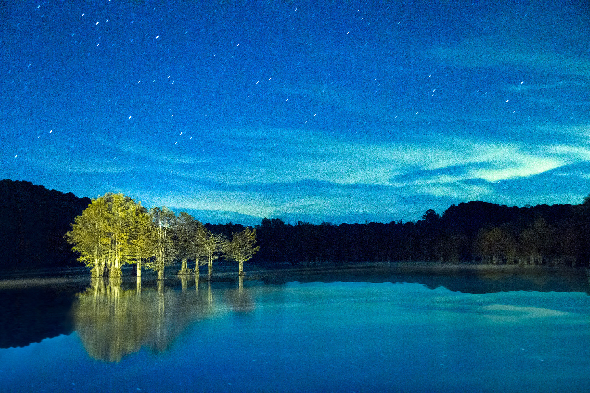 Sigma 18-250mm F3.5-6.3 DC OS HSM sample photo. Cypress night lights photography