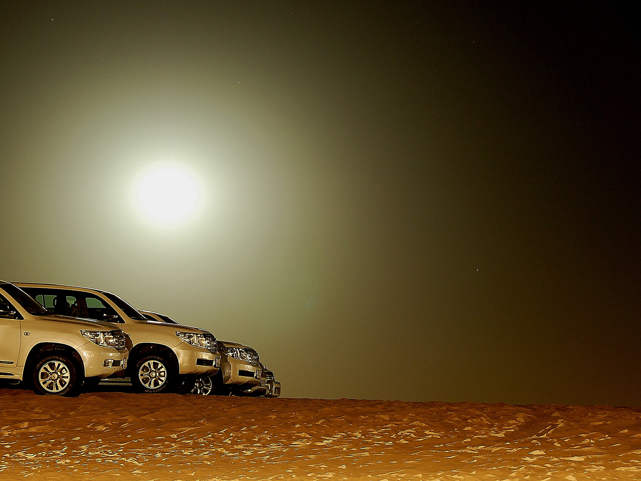 Nikon D50 sample photo. Modern camels photography