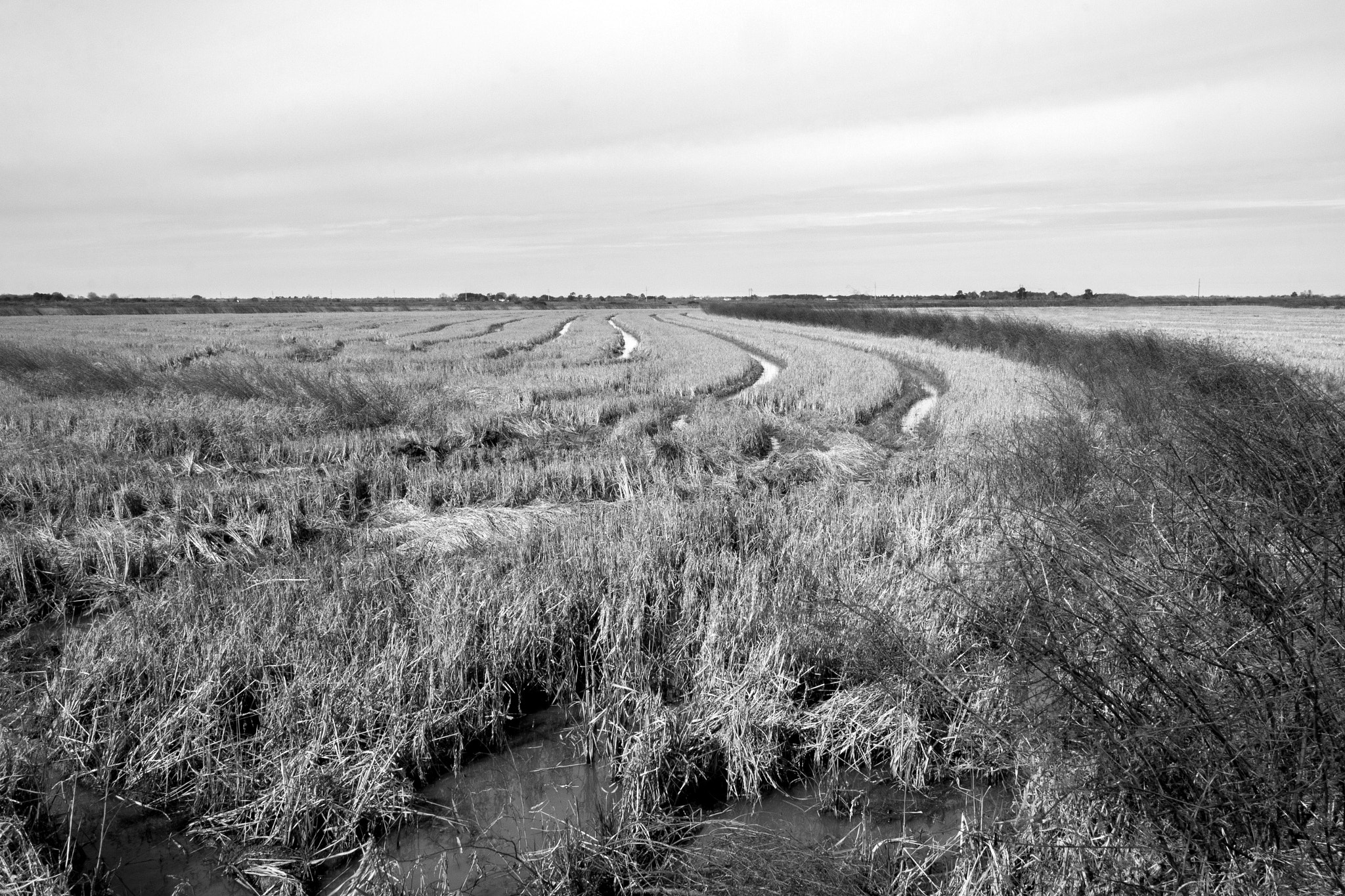 Canon EOS 600D (Rebel EOS T3i / EOS Kiss X5) sample photo. Muddy crud crop field photography