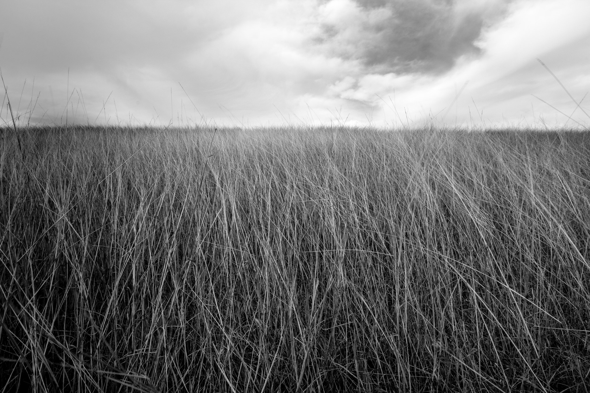 Canon EOS 600D (Rebel EOS T3i / EOS Kiss X5) sample photo. Hill horizon photography