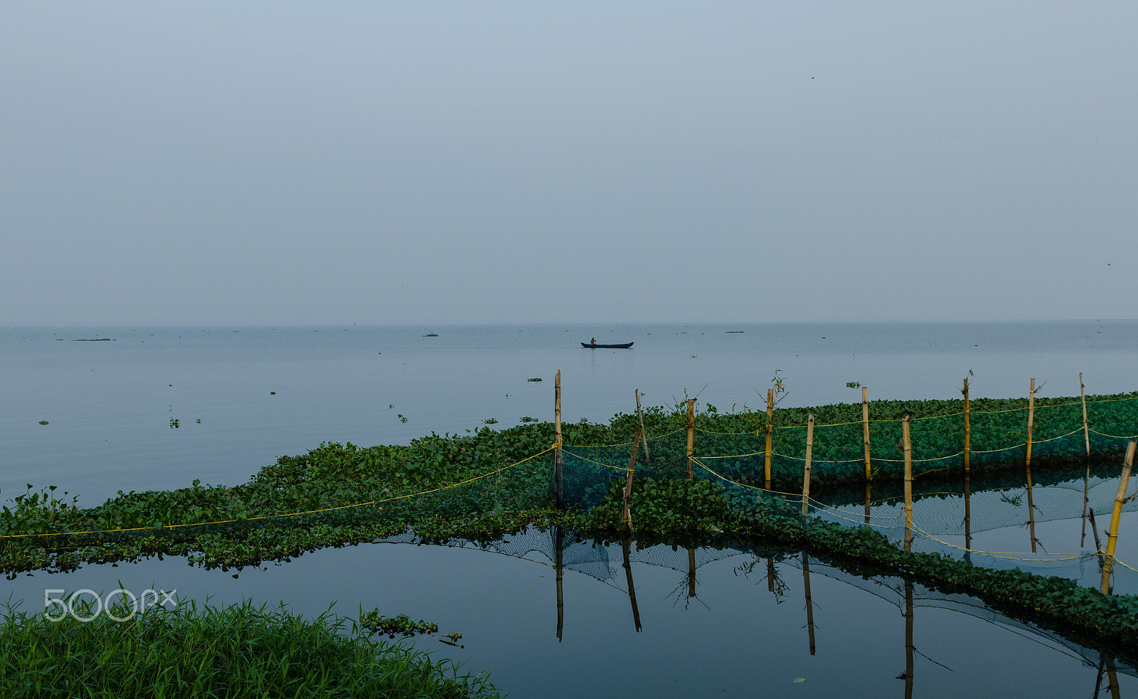 Tamron SP 24-70mm F2.8 Di VC USD sample photo. Backwaters photography