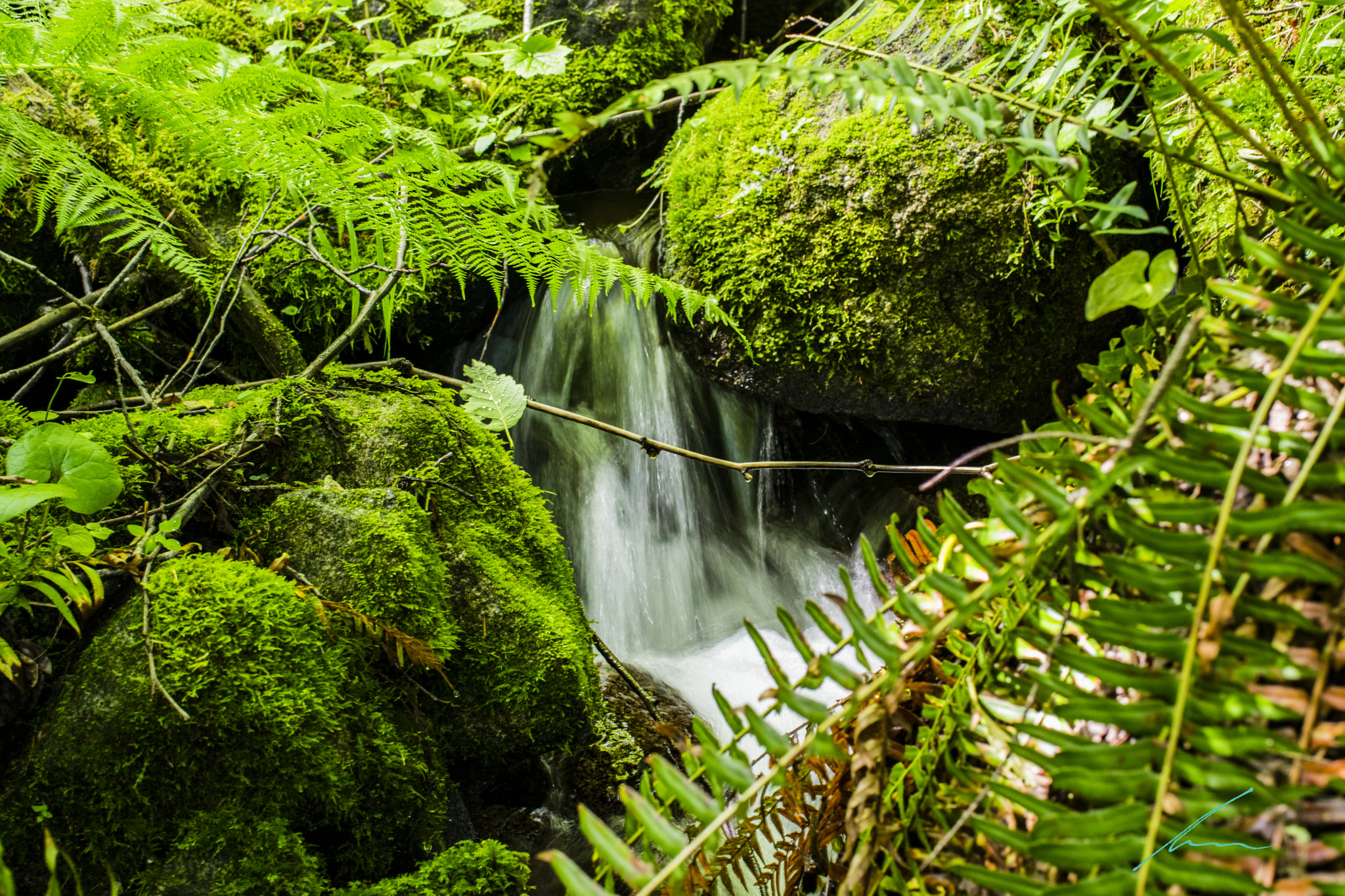 Nikon D3300 + Nikon AF-S Nikkor 35mm F1.8G ED sample photo. Little falls  photography