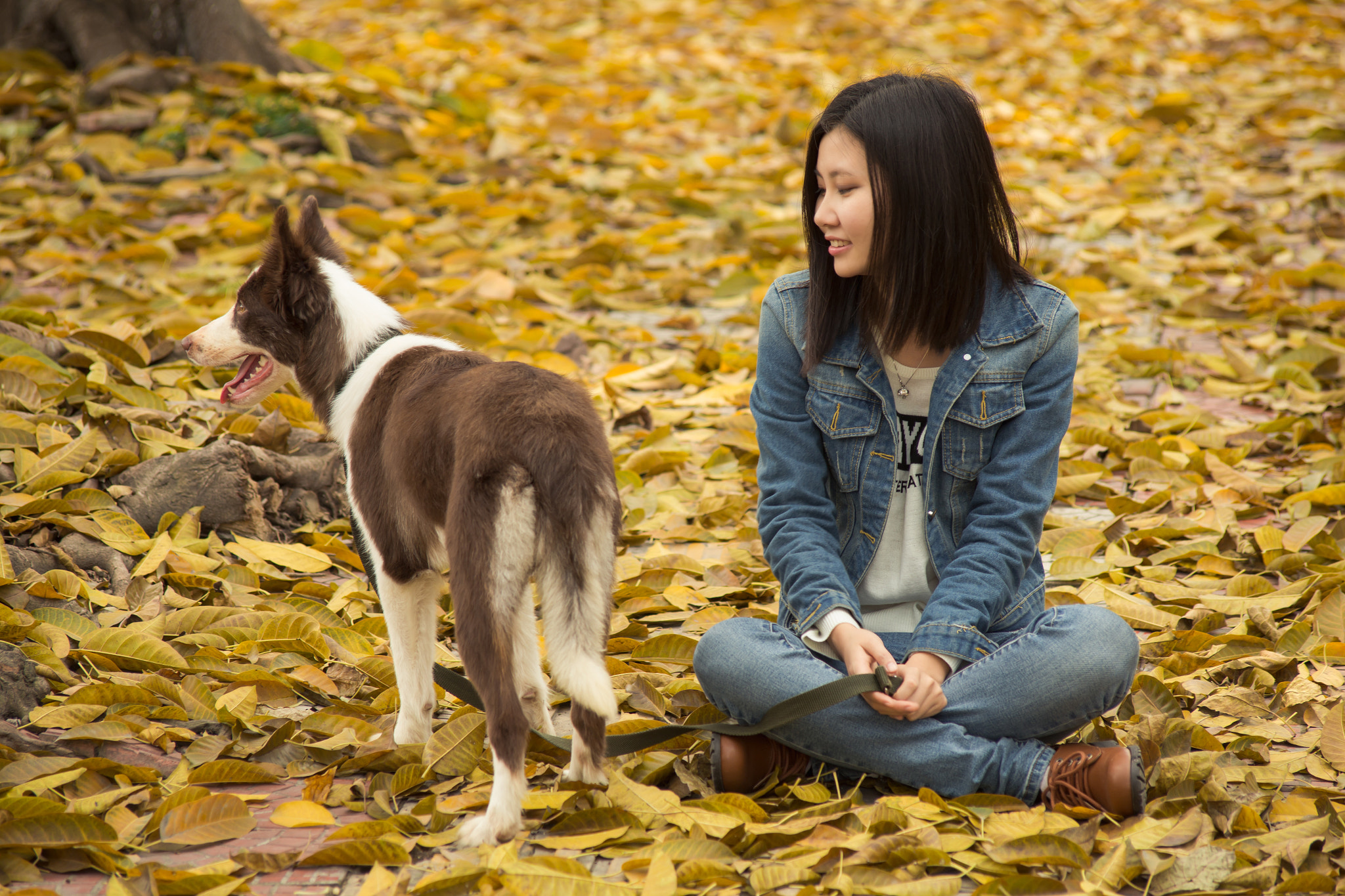 Canon EOS 6D + Canon EF 70-210mm f/4 sample photo. Img photography