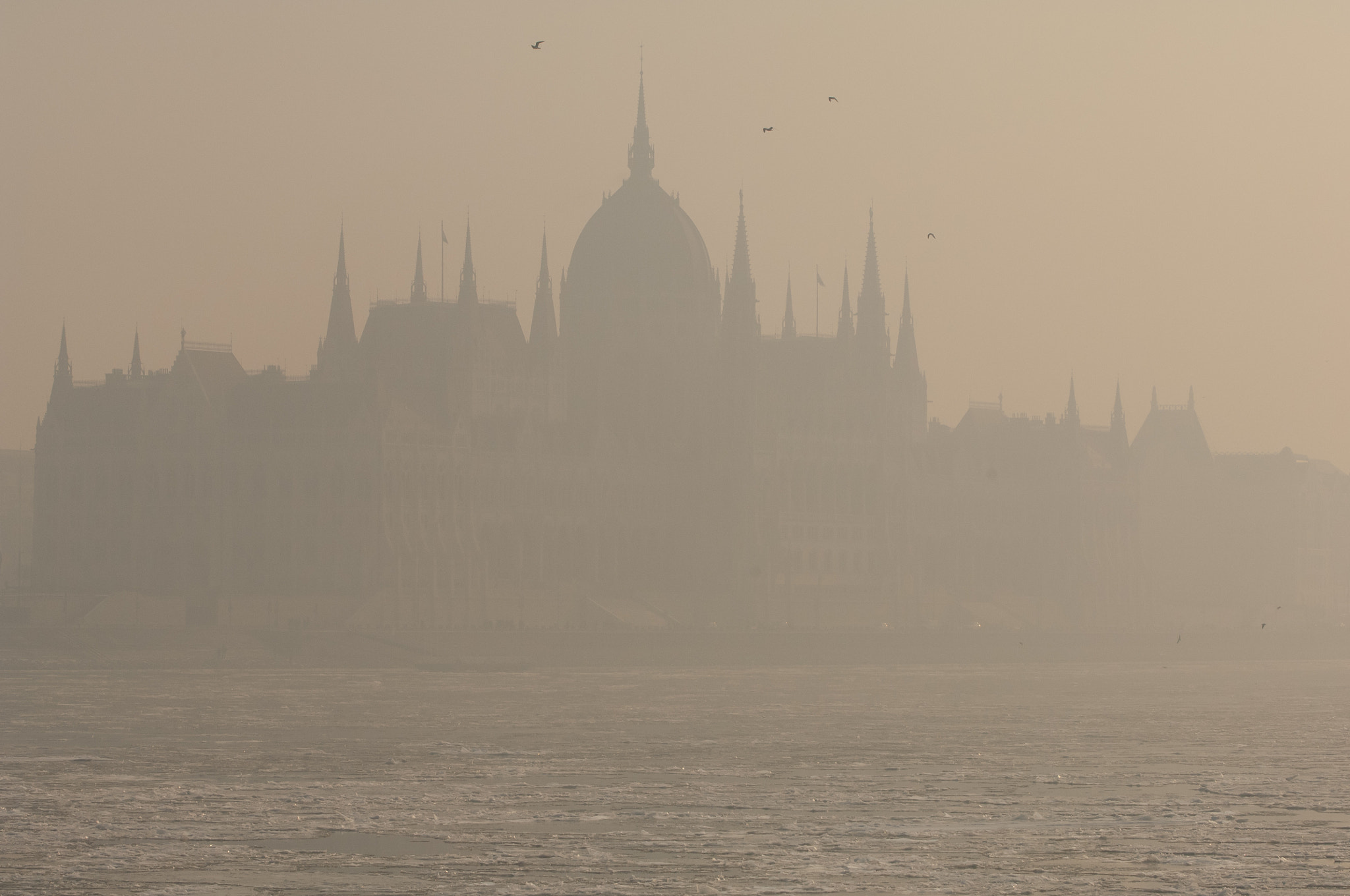 Nikon D2X sample photo. Smog settled over budapest photography