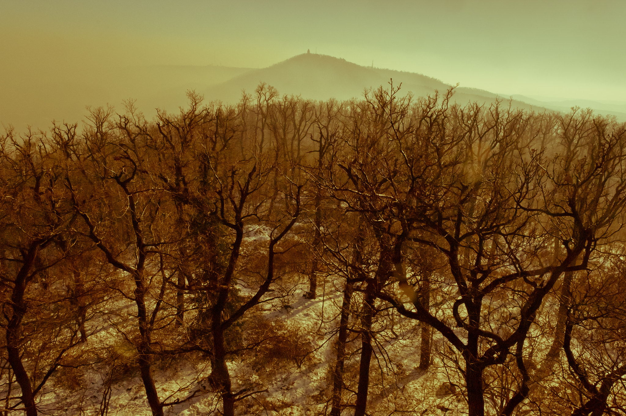 Nikon D2X sample photo. Smog settled over budapest photography