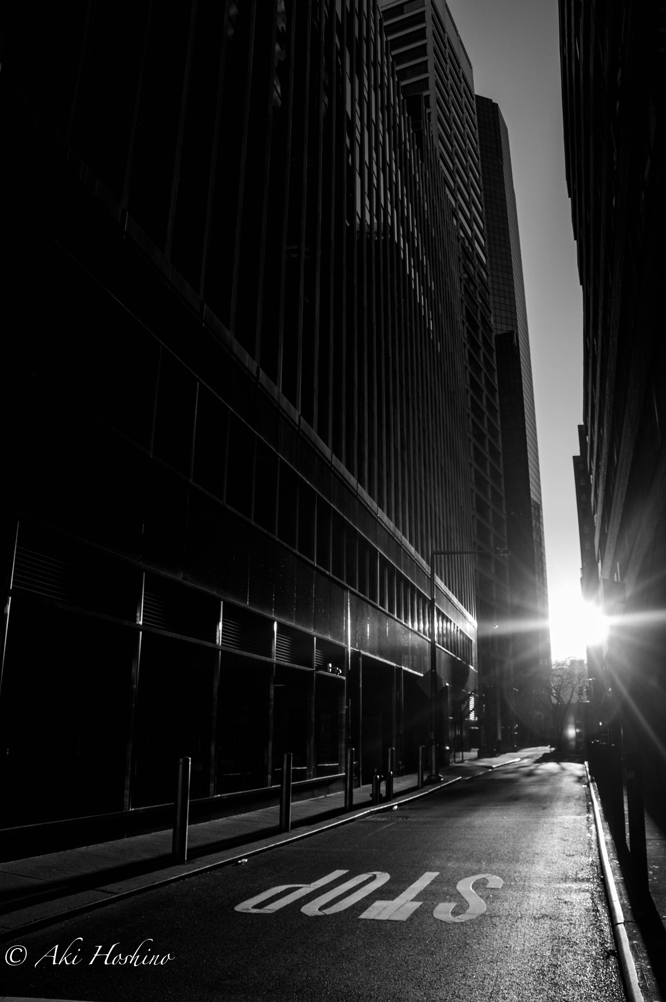 Sony DT 18-135mm F3.5-5.6 SAM sample photo. The first sunshine in 2017 photography
