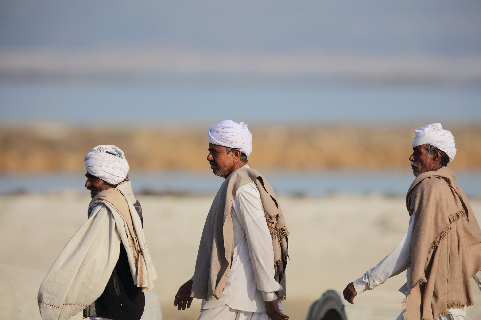 Canon EF 400mm F2.8L IS II USM sample photo. Gujarati photography