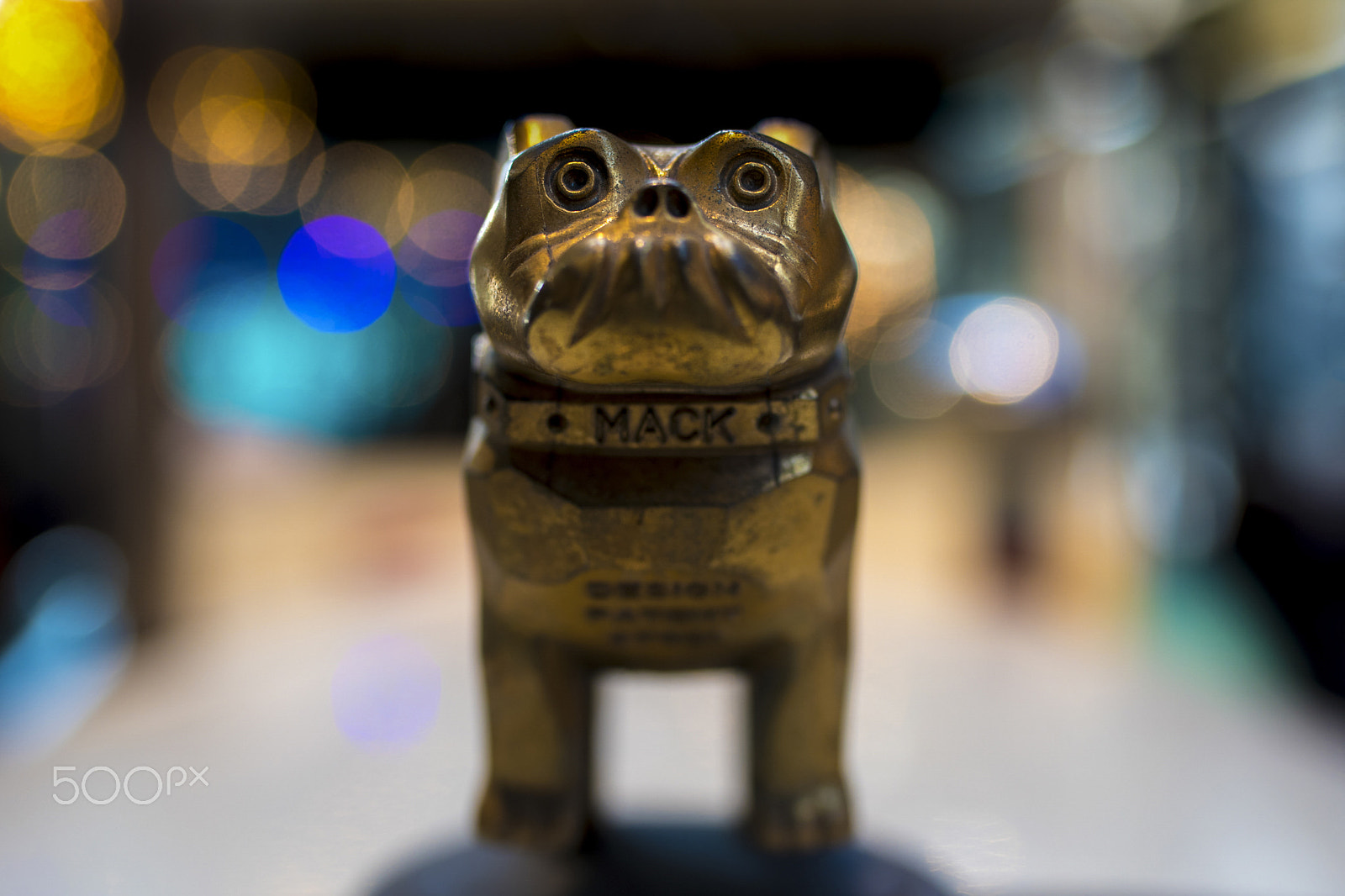 Nikon D750 + Tamron SP 35mm F1.8 Di VC USD sample photo. Look in mack's eyes photography