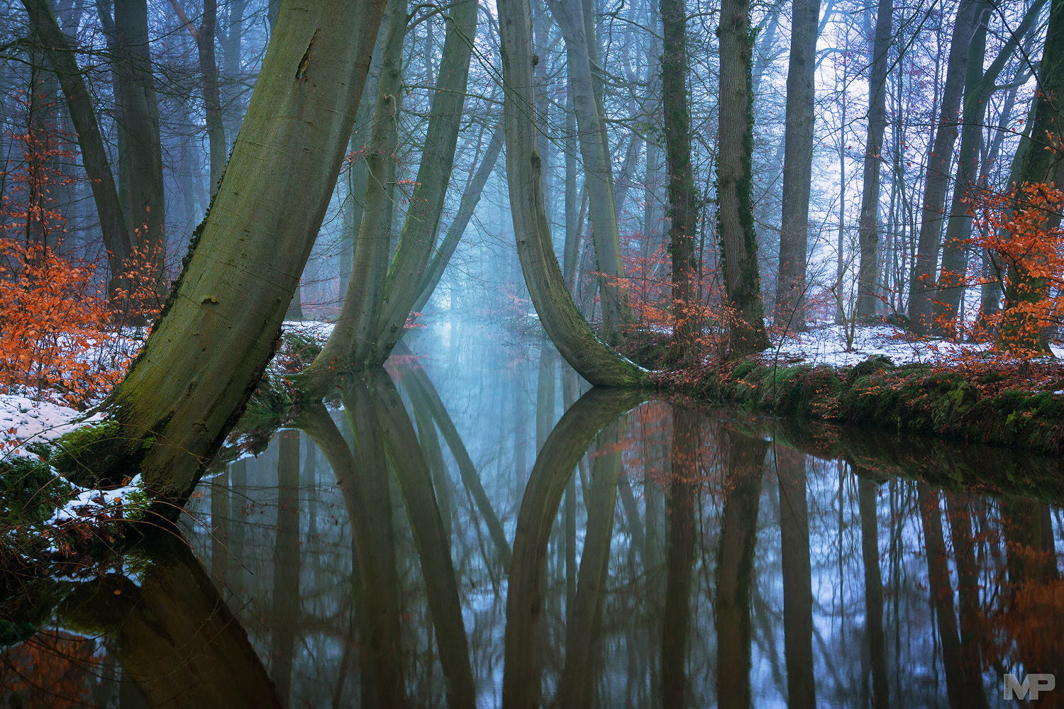 Sony a5100 sample photo. Winter reflections photography