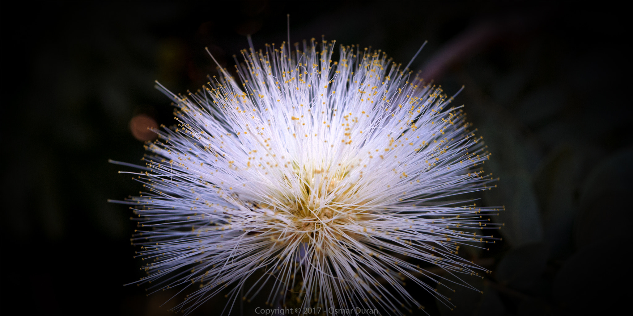 Nikon D200 sample photo. Particle collision photography