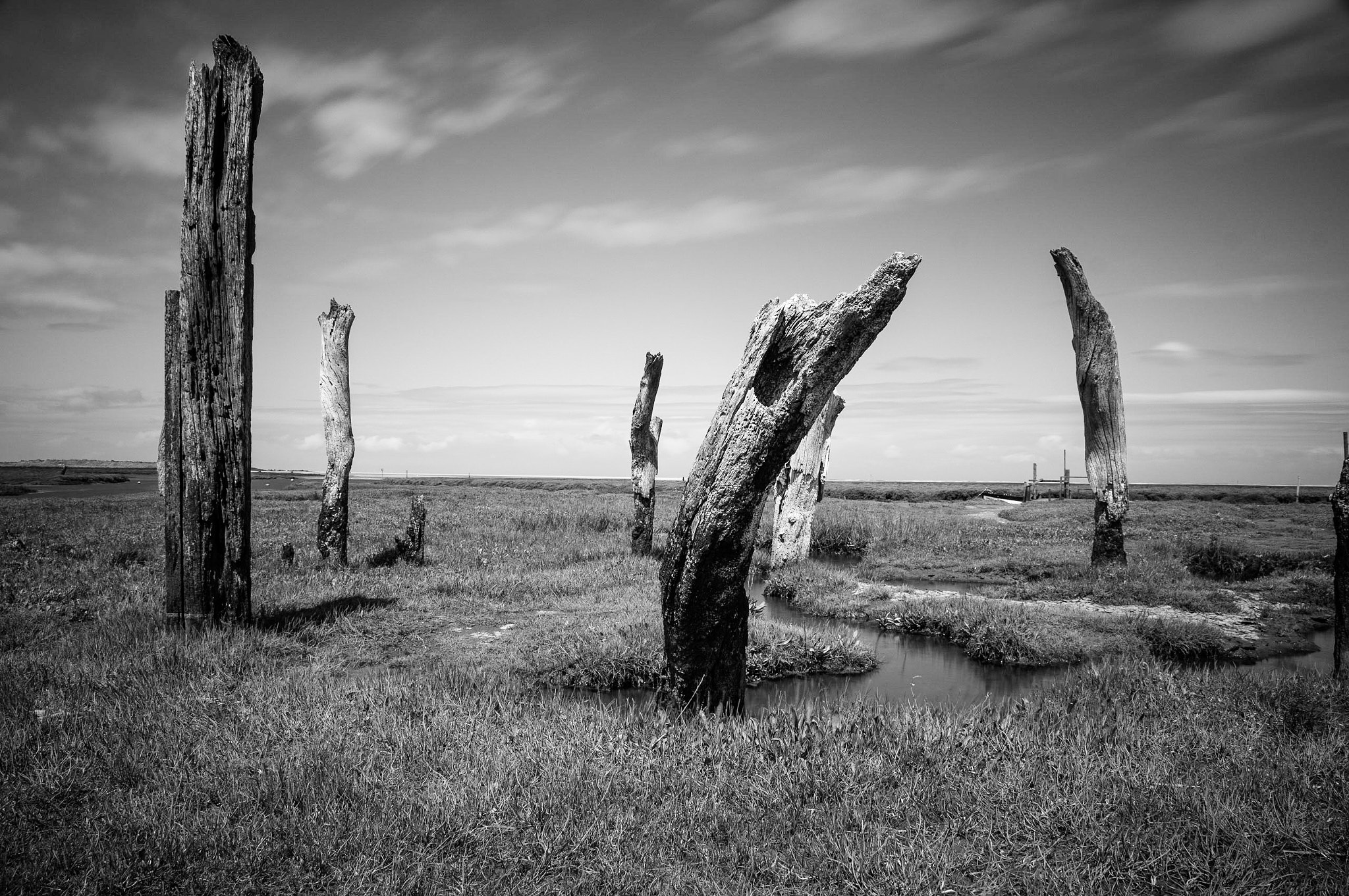 Sony DT 18-135mm F3.5-5.6 SAM sample photo. Thorham stumps photography