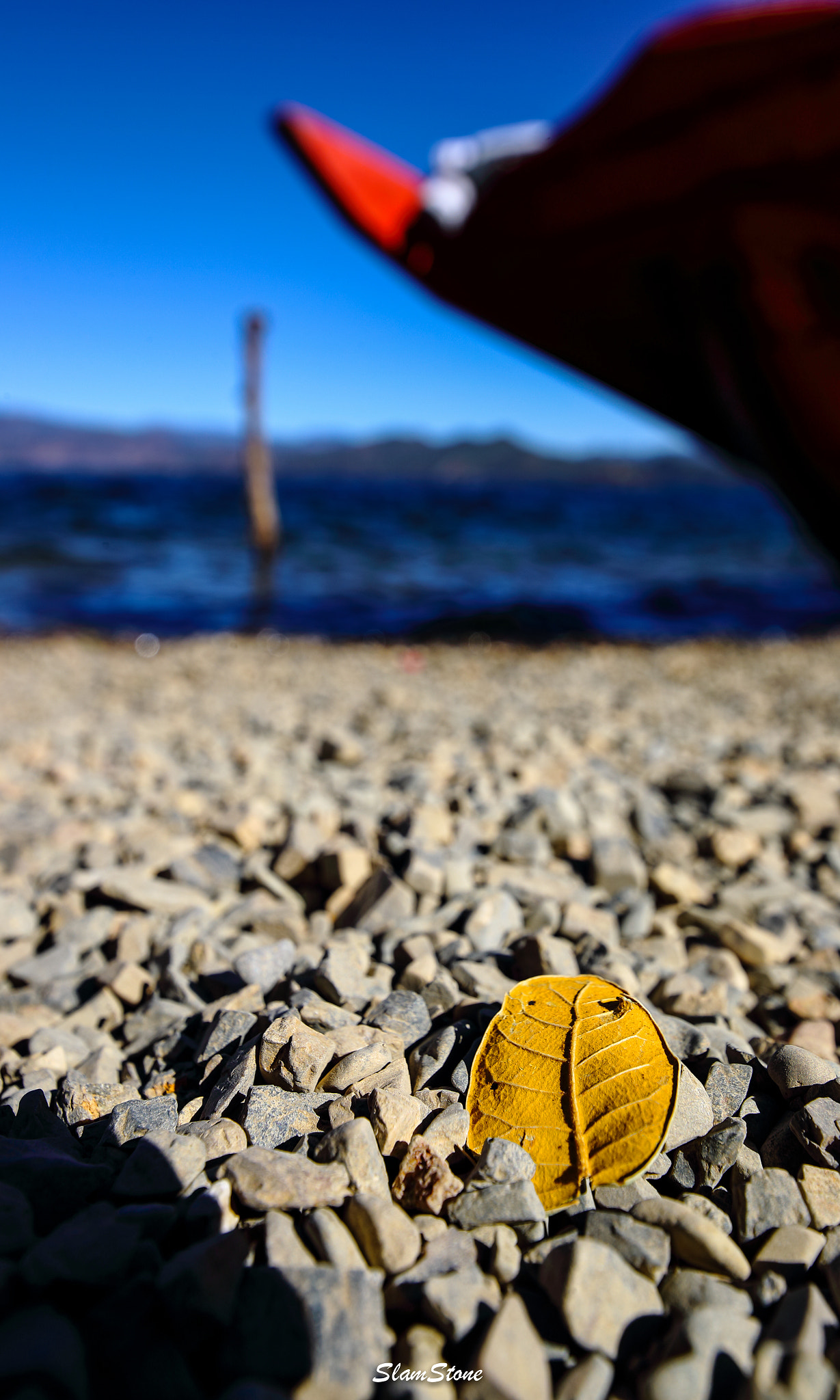 Canon EF 300mm f/2.8L sample photo. A place without winter photography