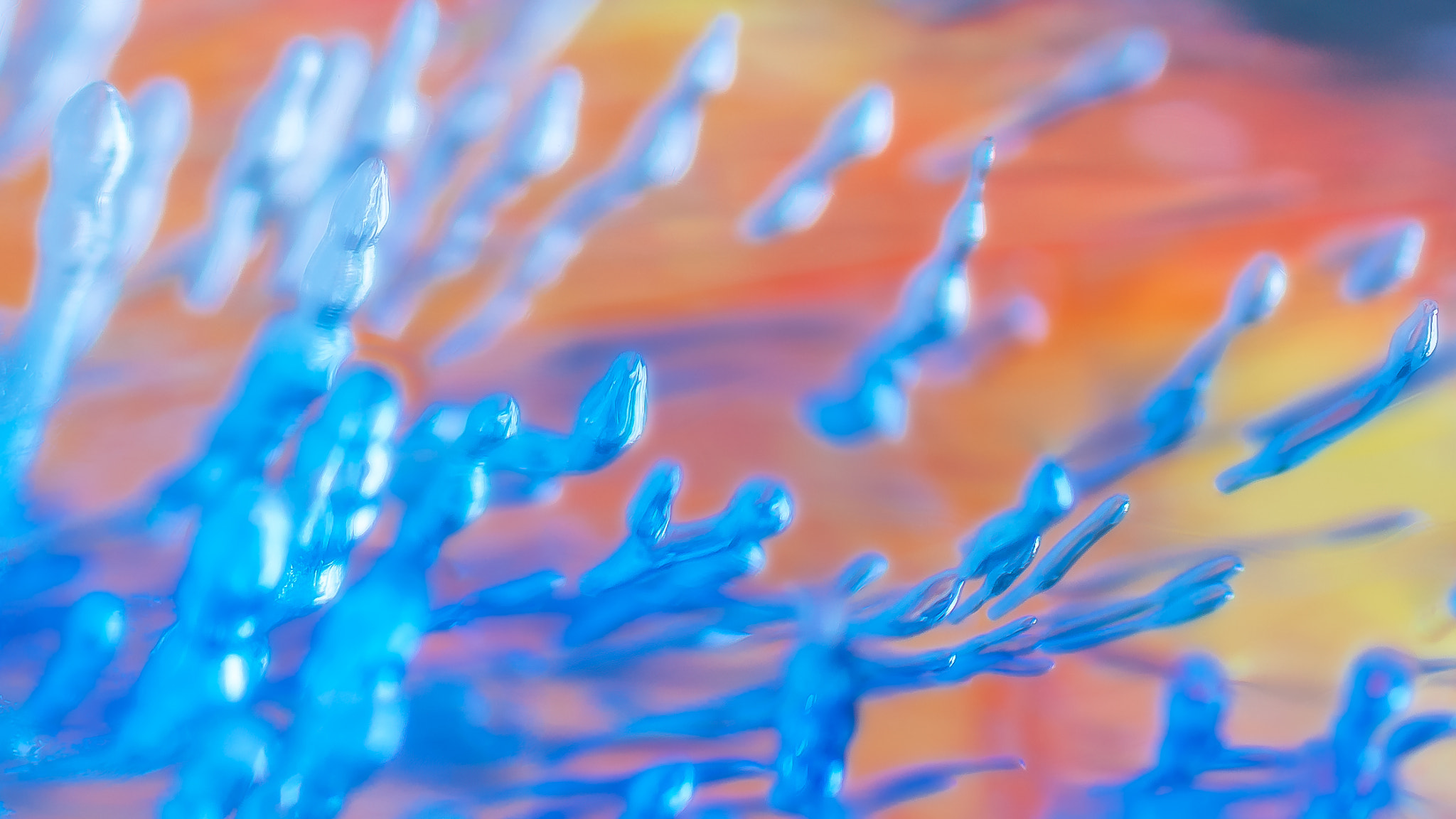 Sigma 105mm F2.8 EX DG Macro sample photo. Health & happiness photography